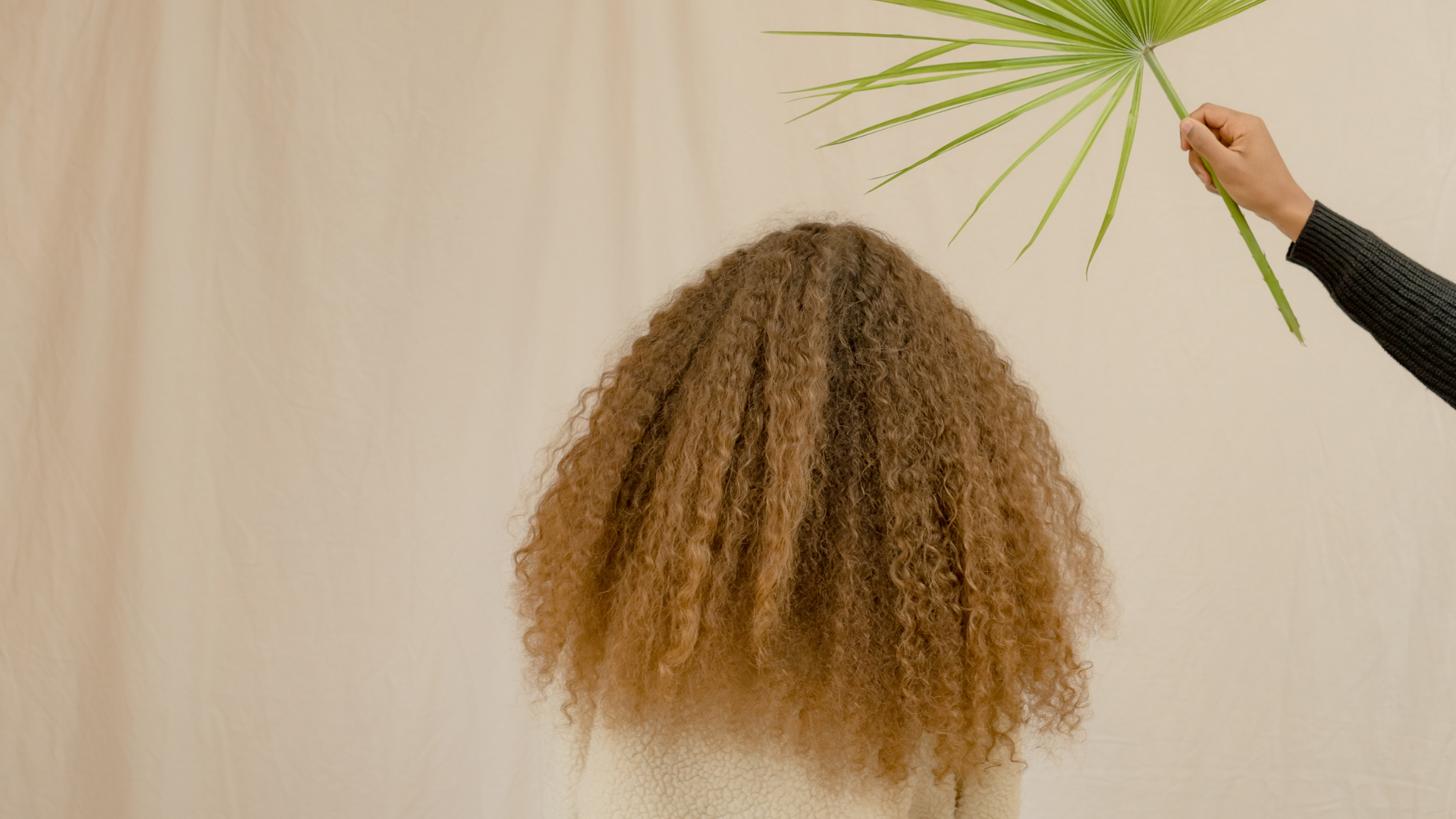 Person with curly, light brown hair viewed from behind, holding a large green palm leaf.