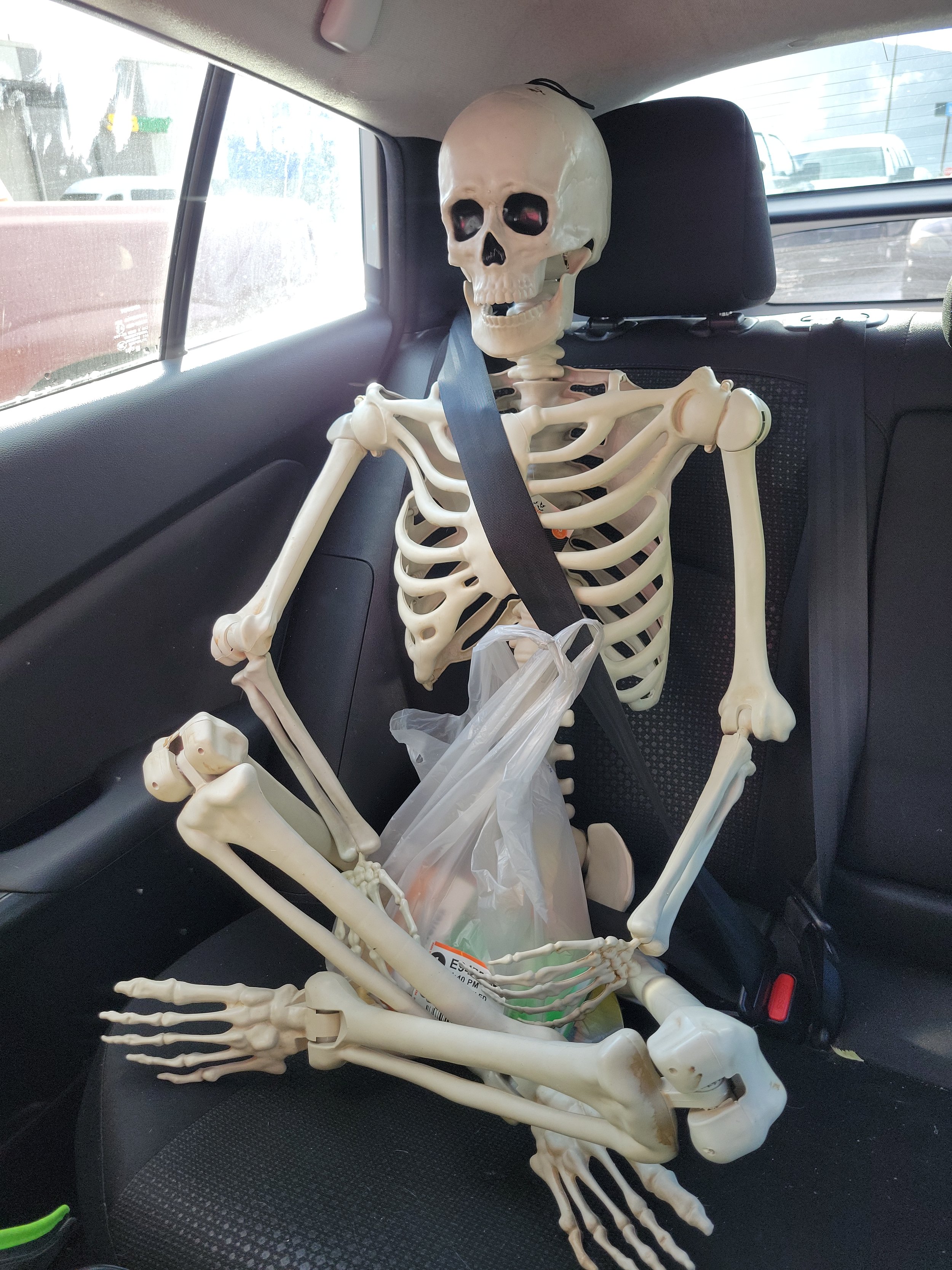 Mr. Skelly has decided to get a job