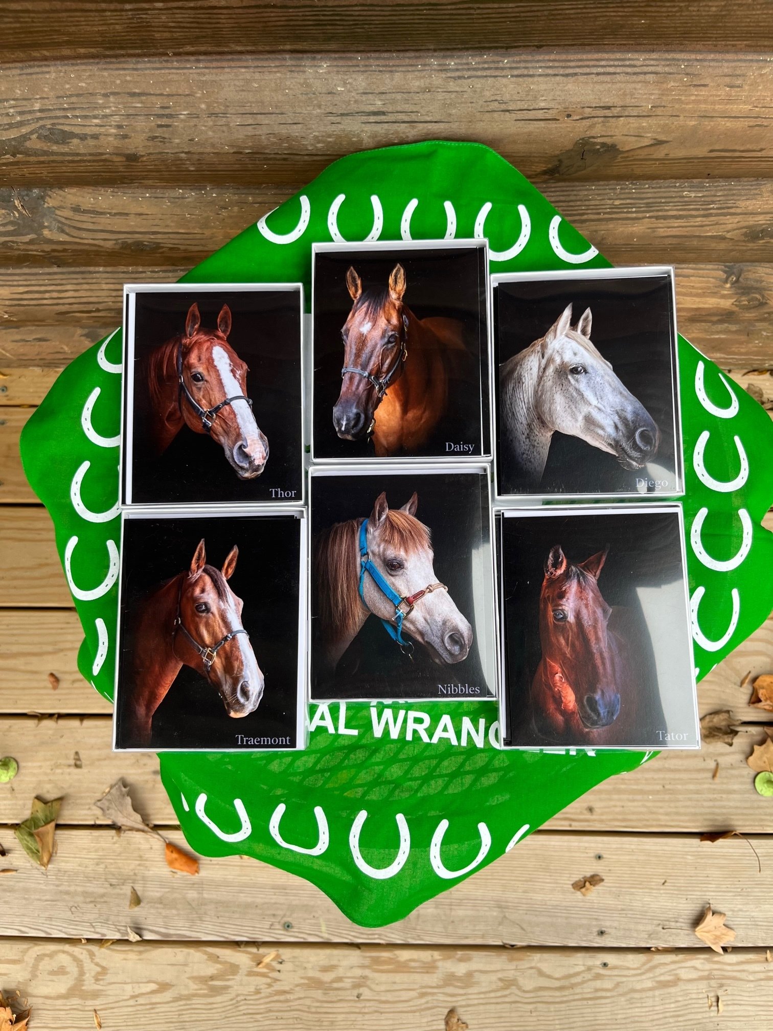 Horses of NTRC Greeting Cards