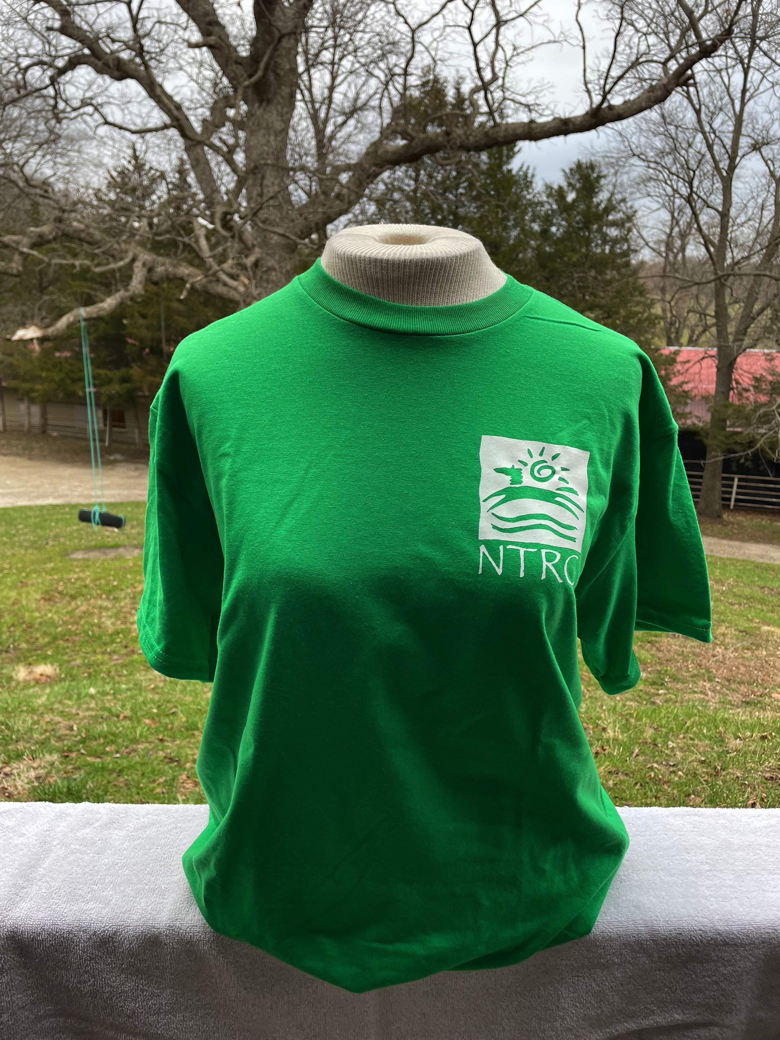 SS Green Tee.jpeg