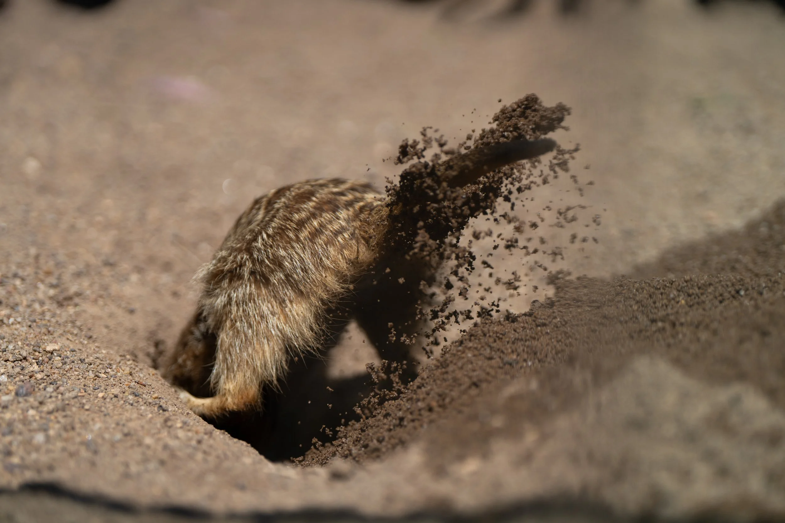 Grampians 2024-2.jpg