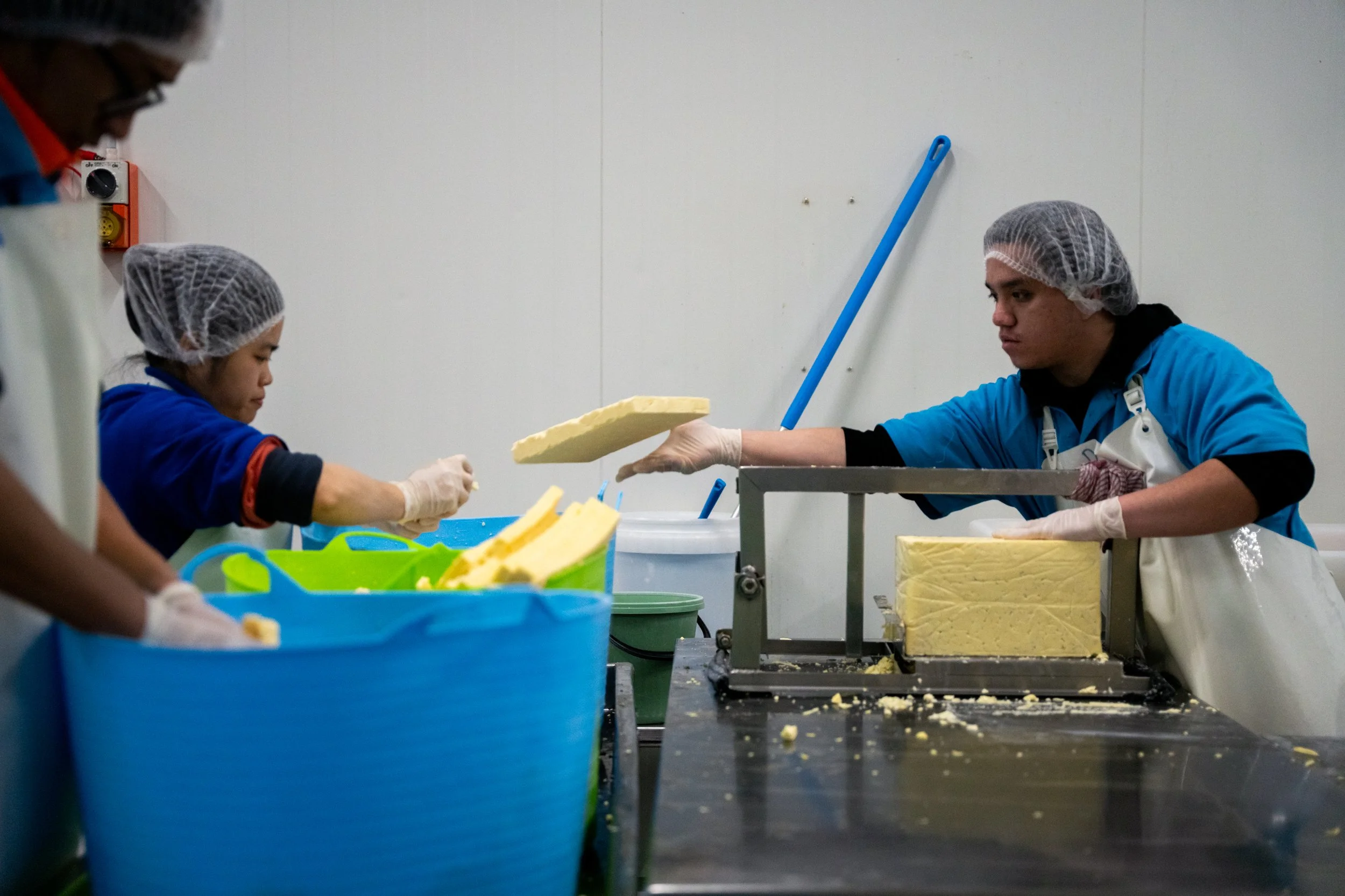 Maffra Cheese co-24.jpg