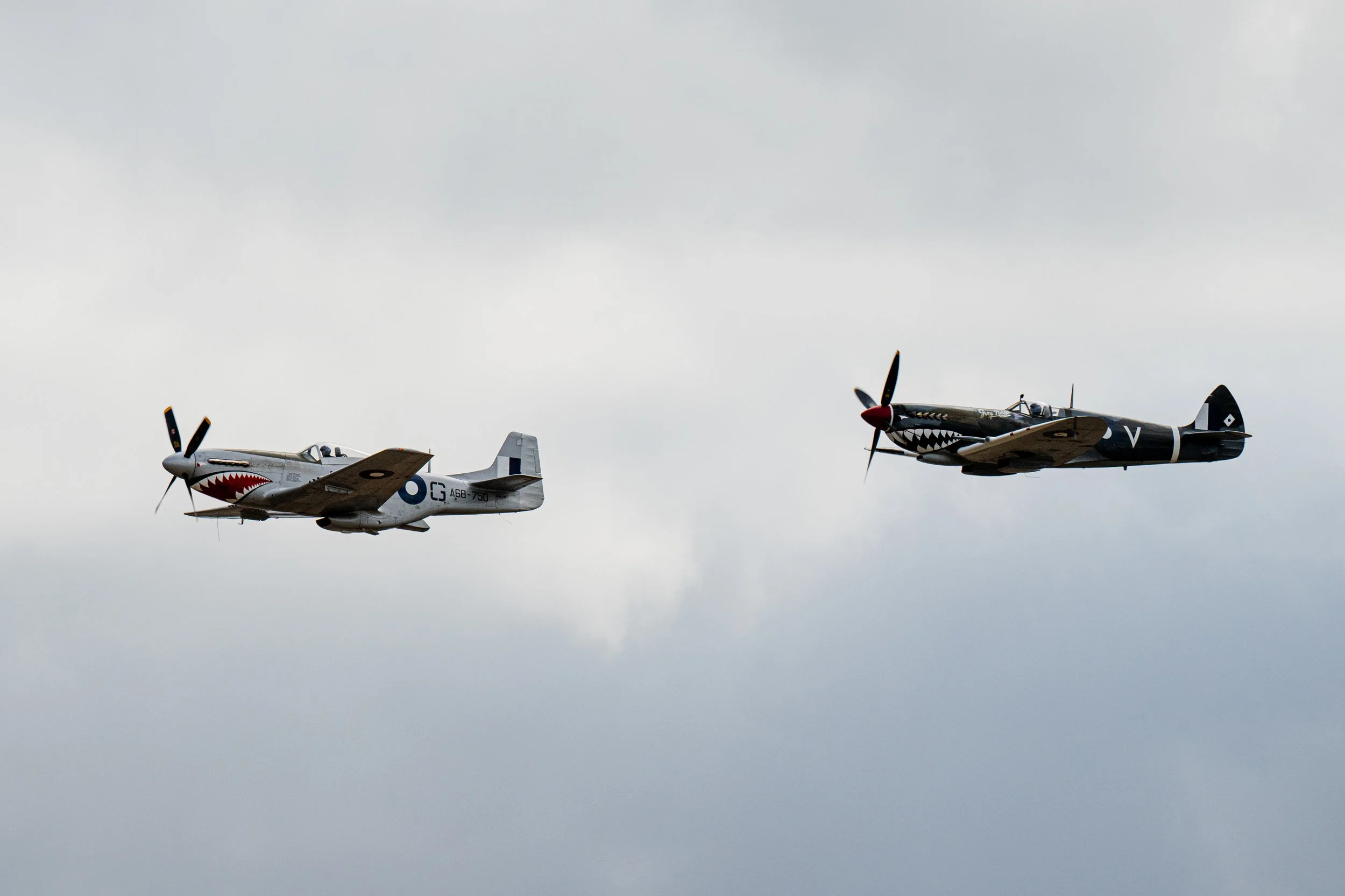 Avalon Airshow Nikon-45.jpg