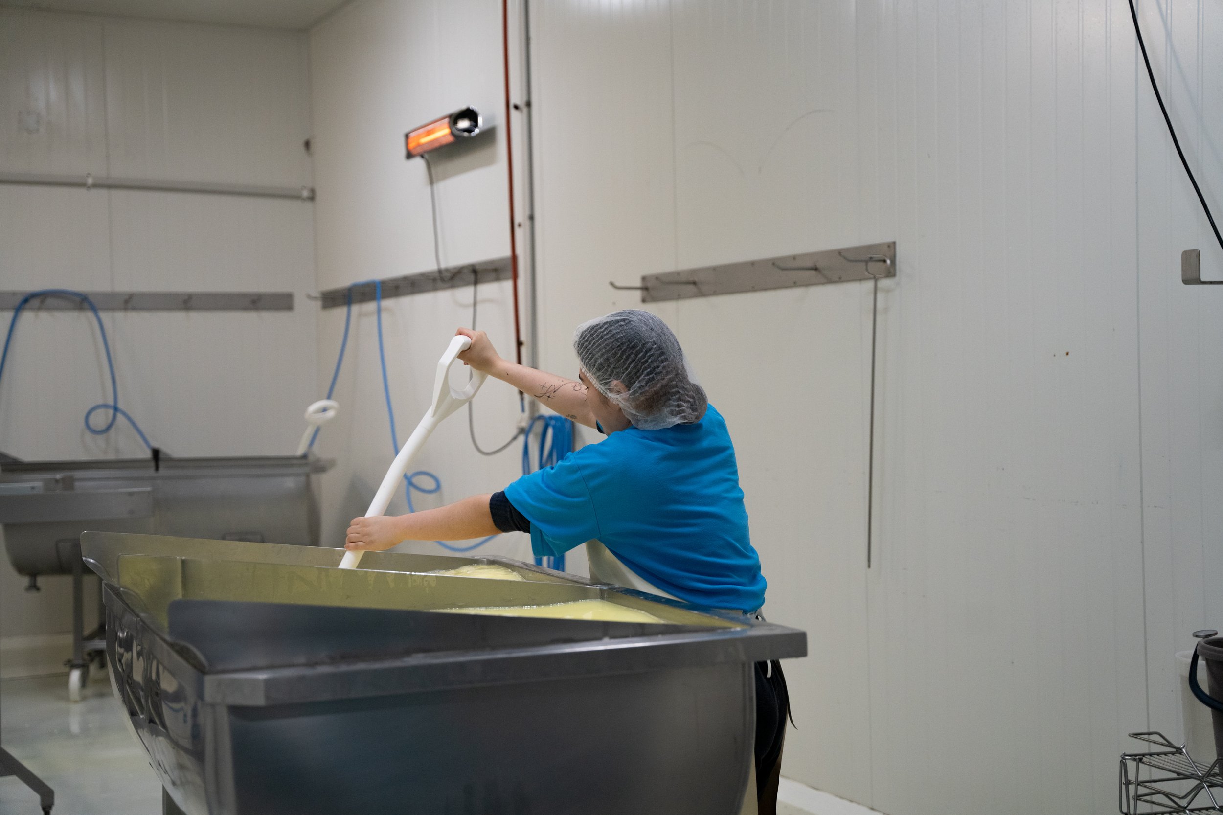 Maffra Cheese co-54.jpg