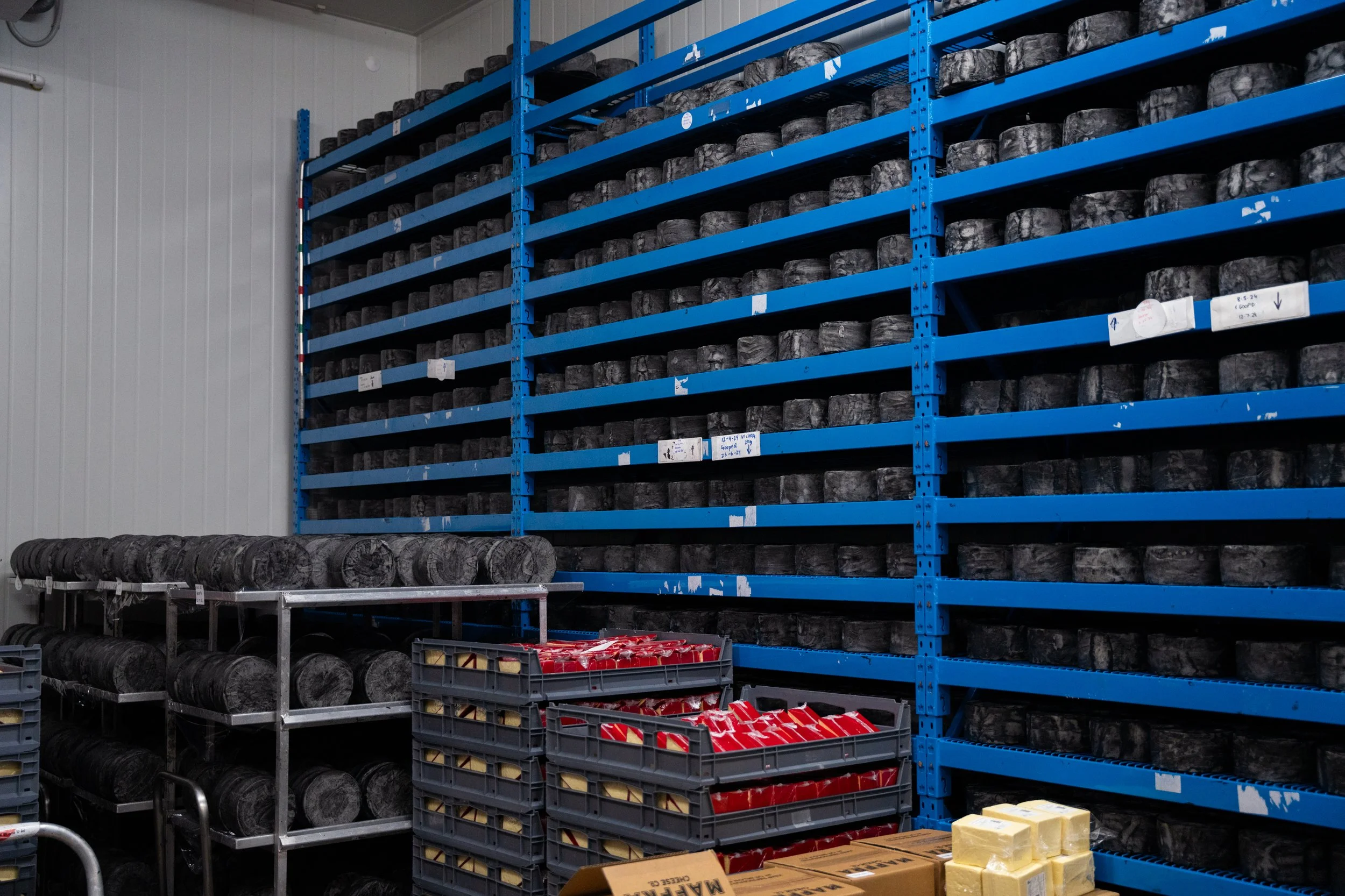 Maffra Cheese co-37.jpg