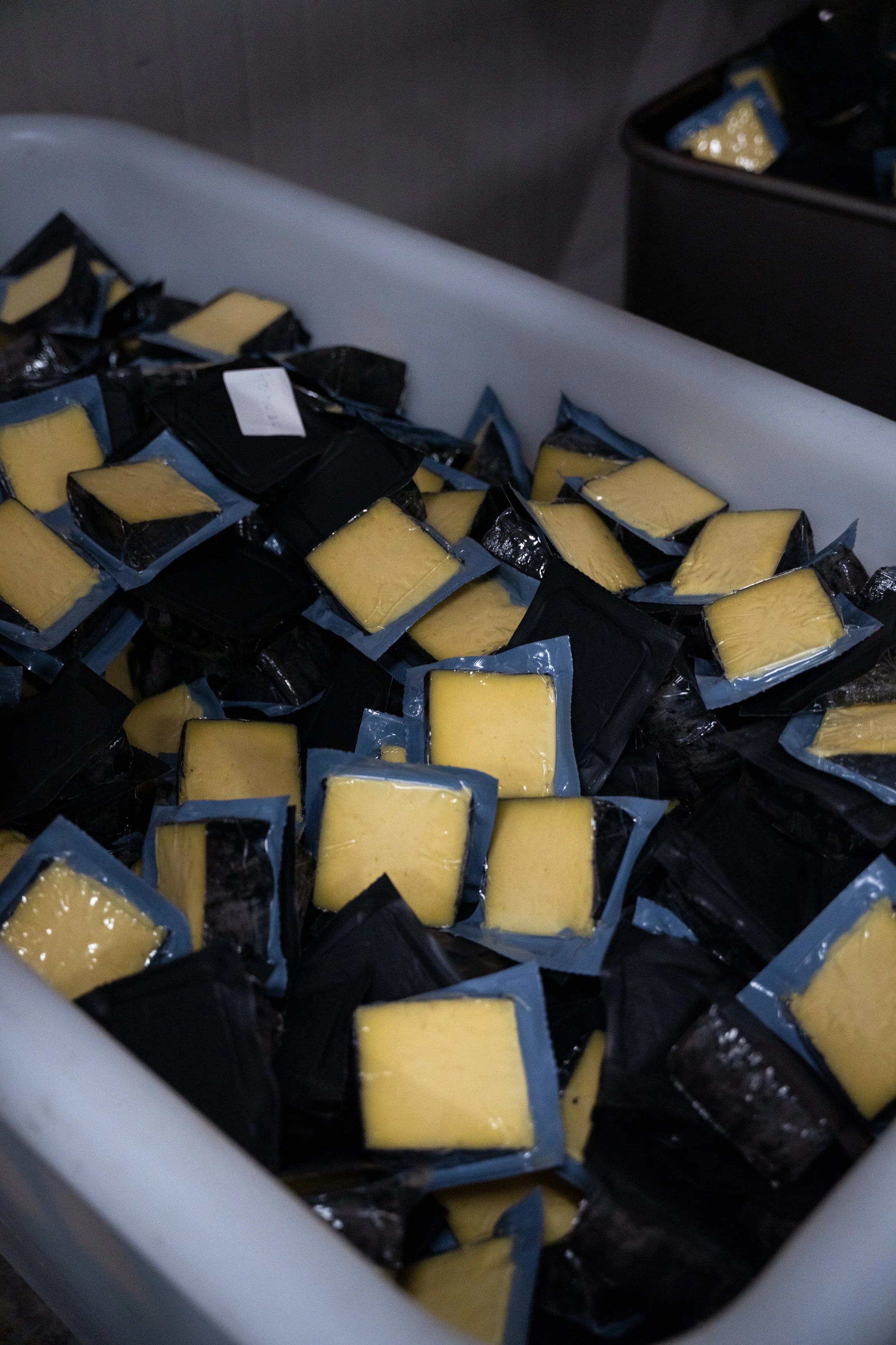 Maffra Cheese co-25.jpg