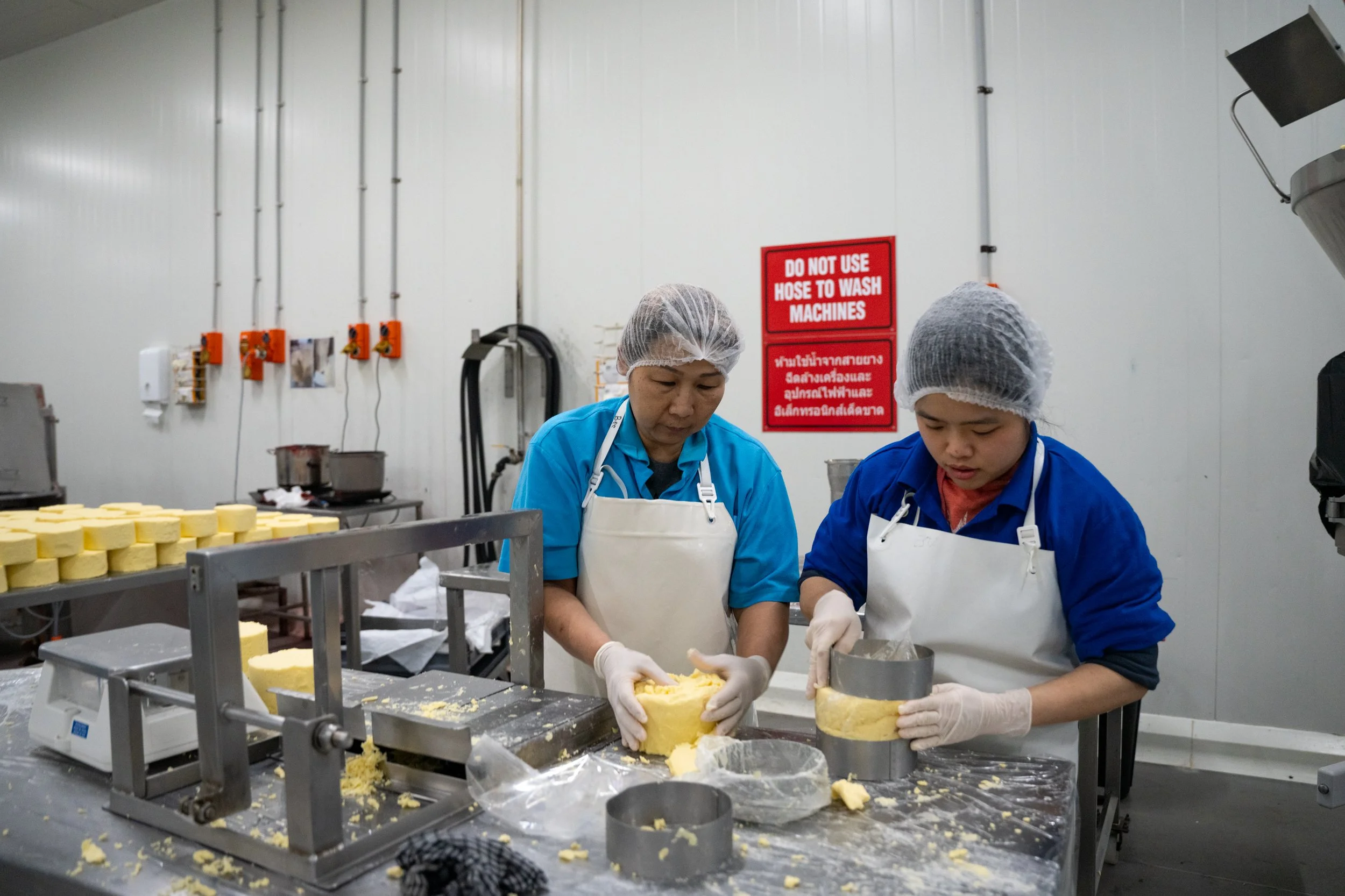 Maffra Cheese co-61.jpg