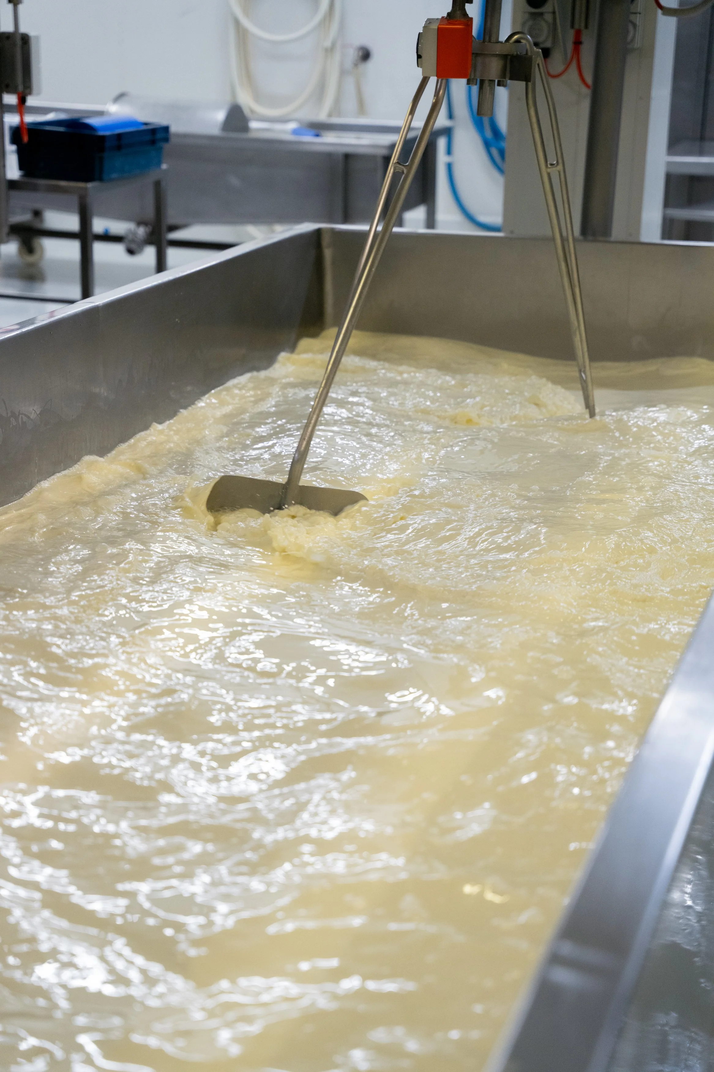 Maffra Cheese co-12.jpg