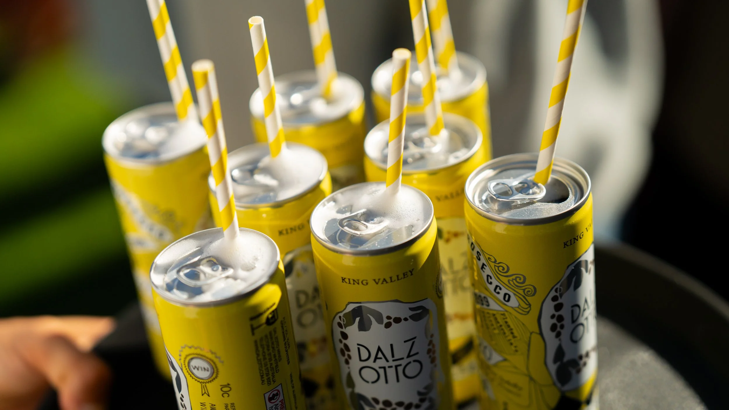 World's Longest Brunch-84.jpg