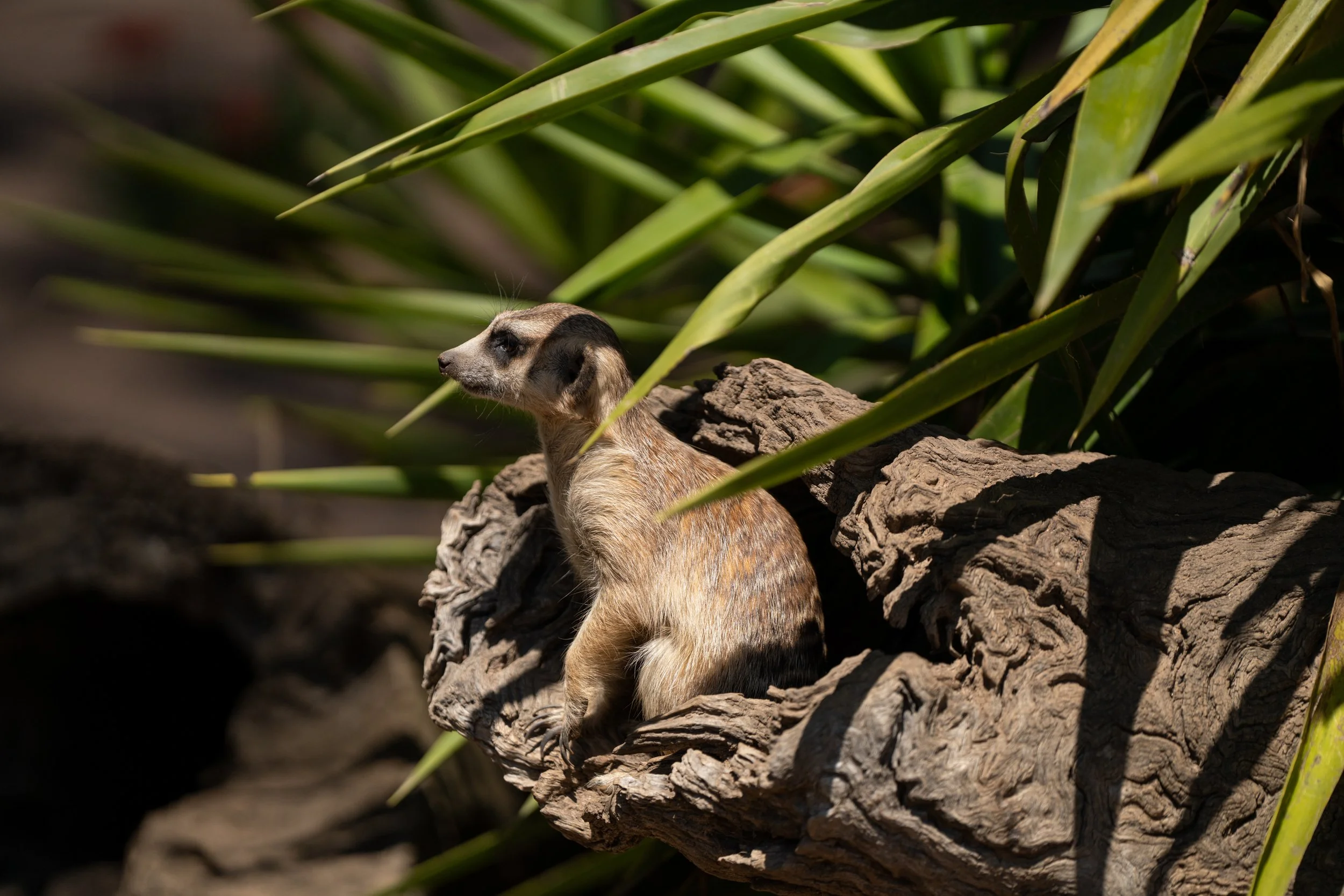 Grampians 2024-1.jpg