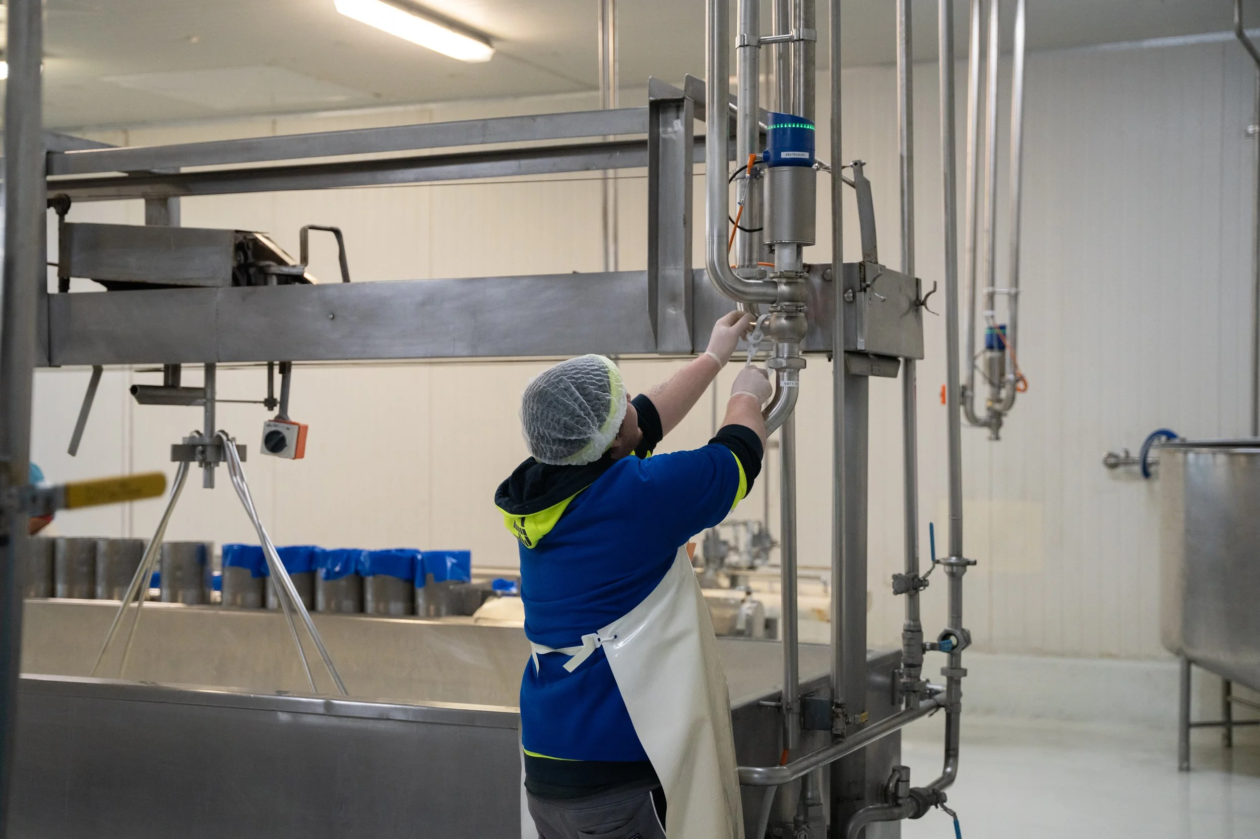 Maffra Cheese co-4.jpg