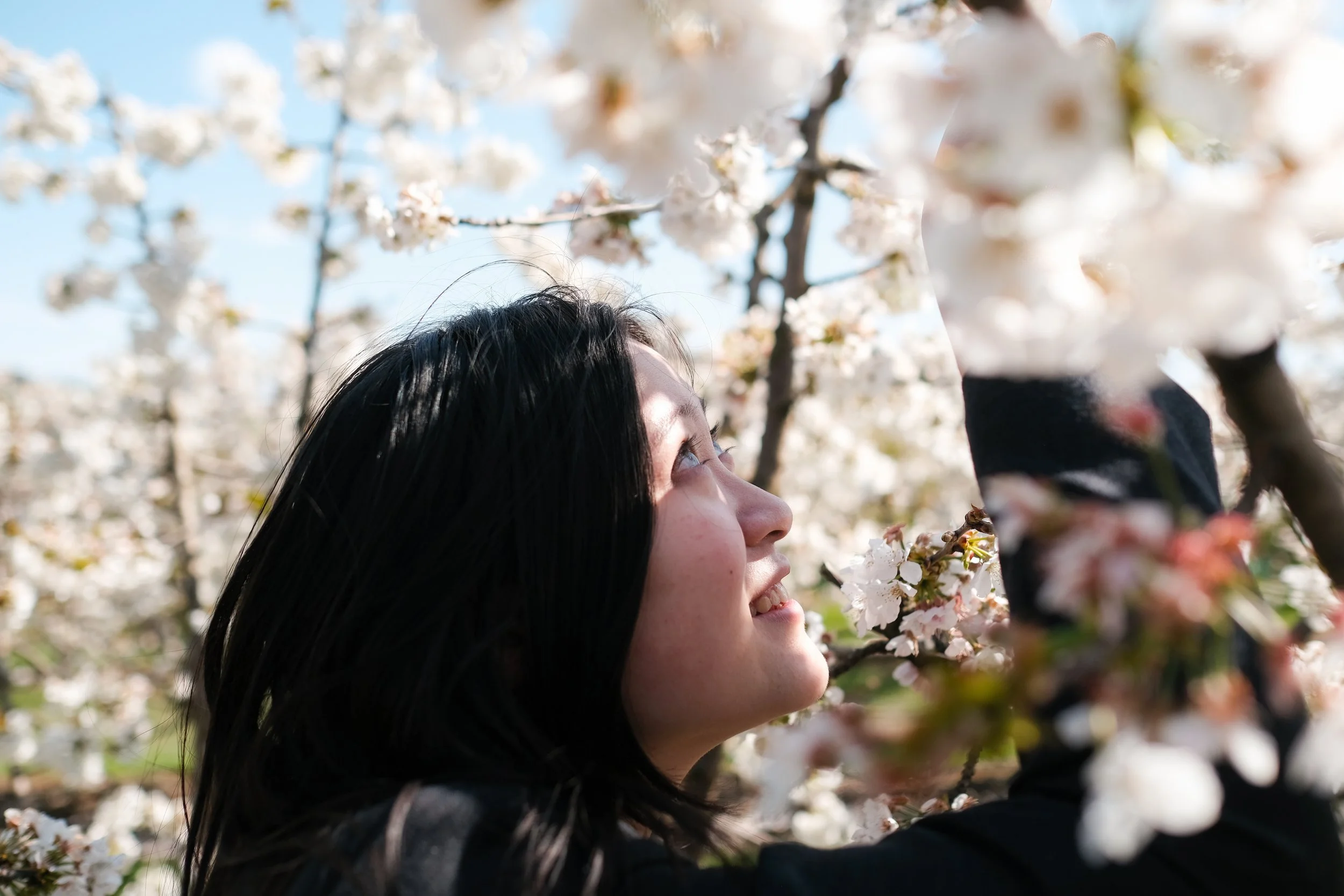 Cherry Hill Sakuras-57.jpg