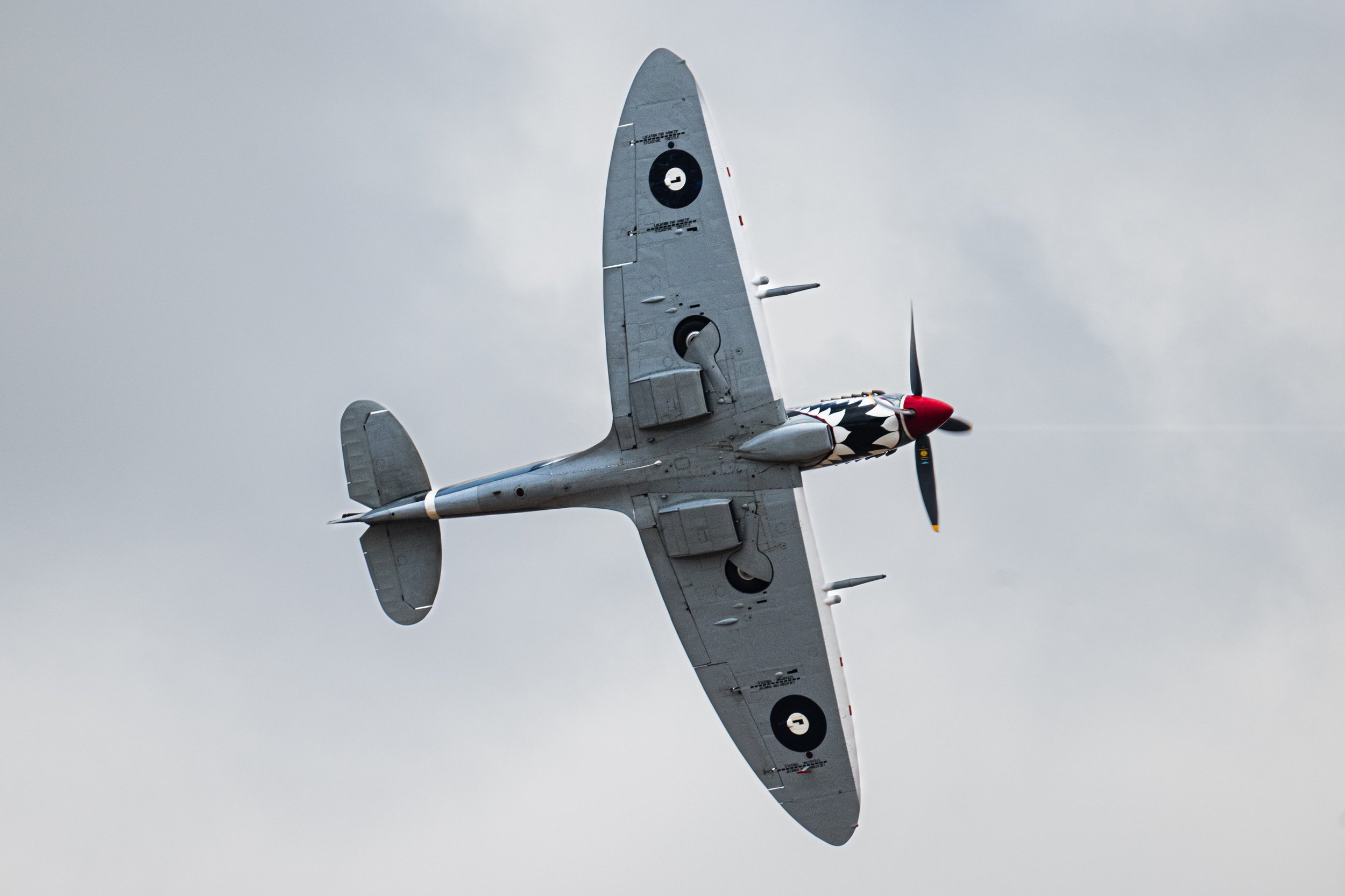 Avalon Airshow Nikon-39.jpg