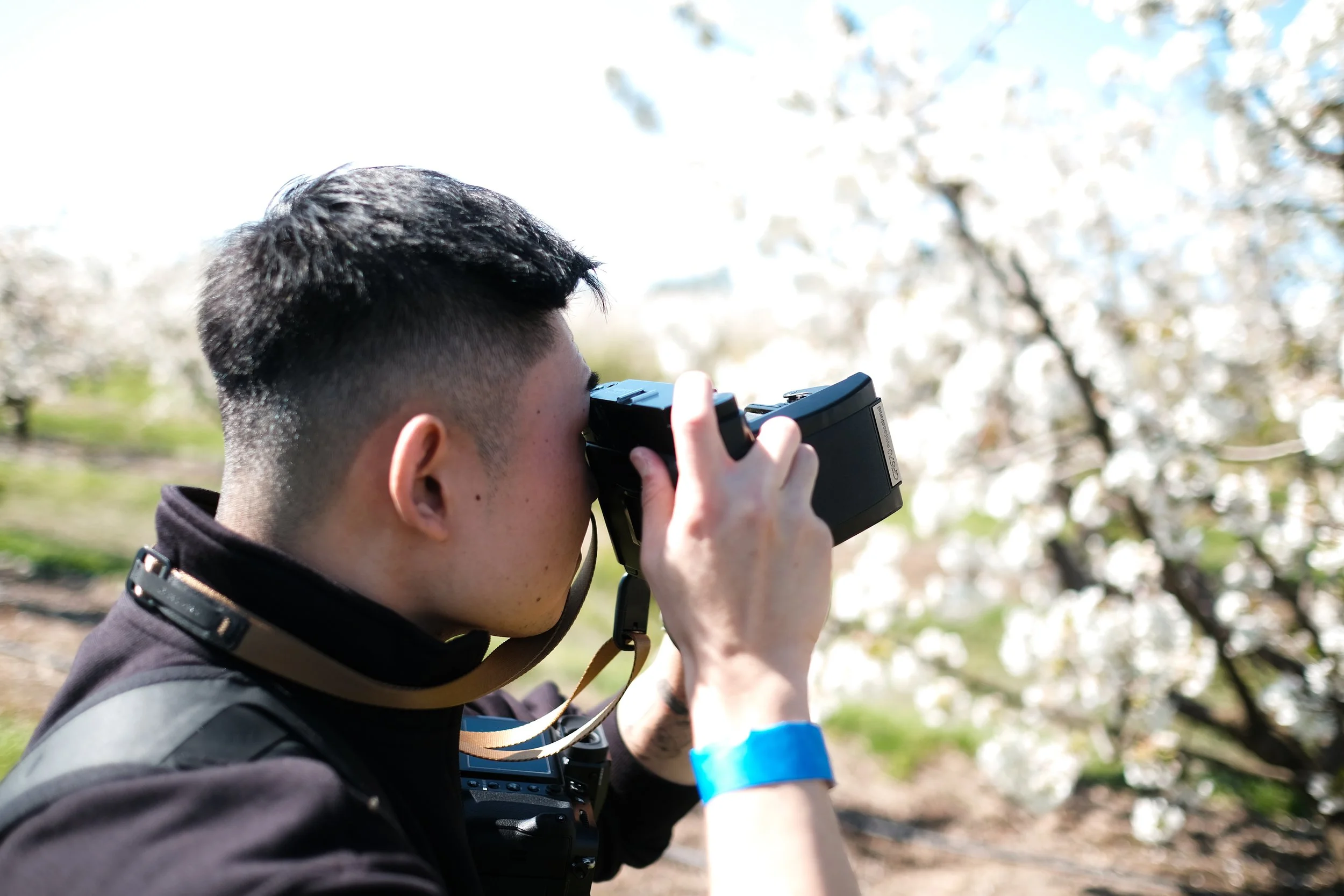 Cherry Hill Sakuras-21.jpg