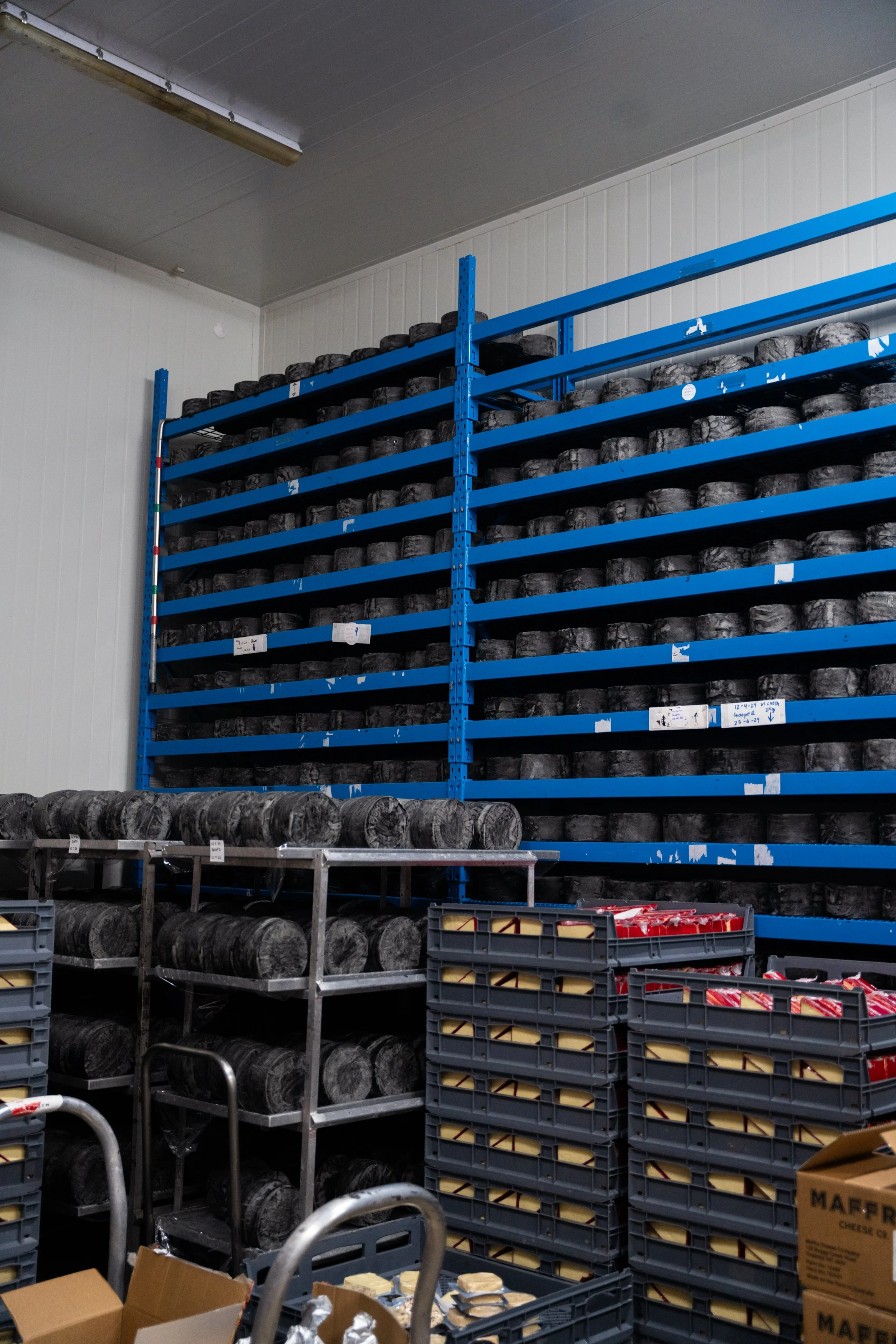 Maffra Cheese co-32.jpg