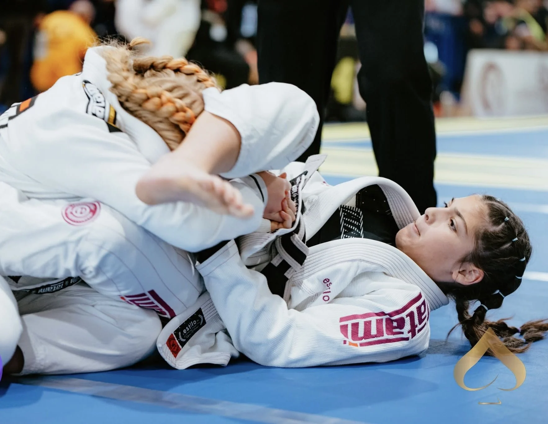 Services 4 — MSJ Combat - Brazilian Jiu-Jitsu Academy | BJJ Classes for ...