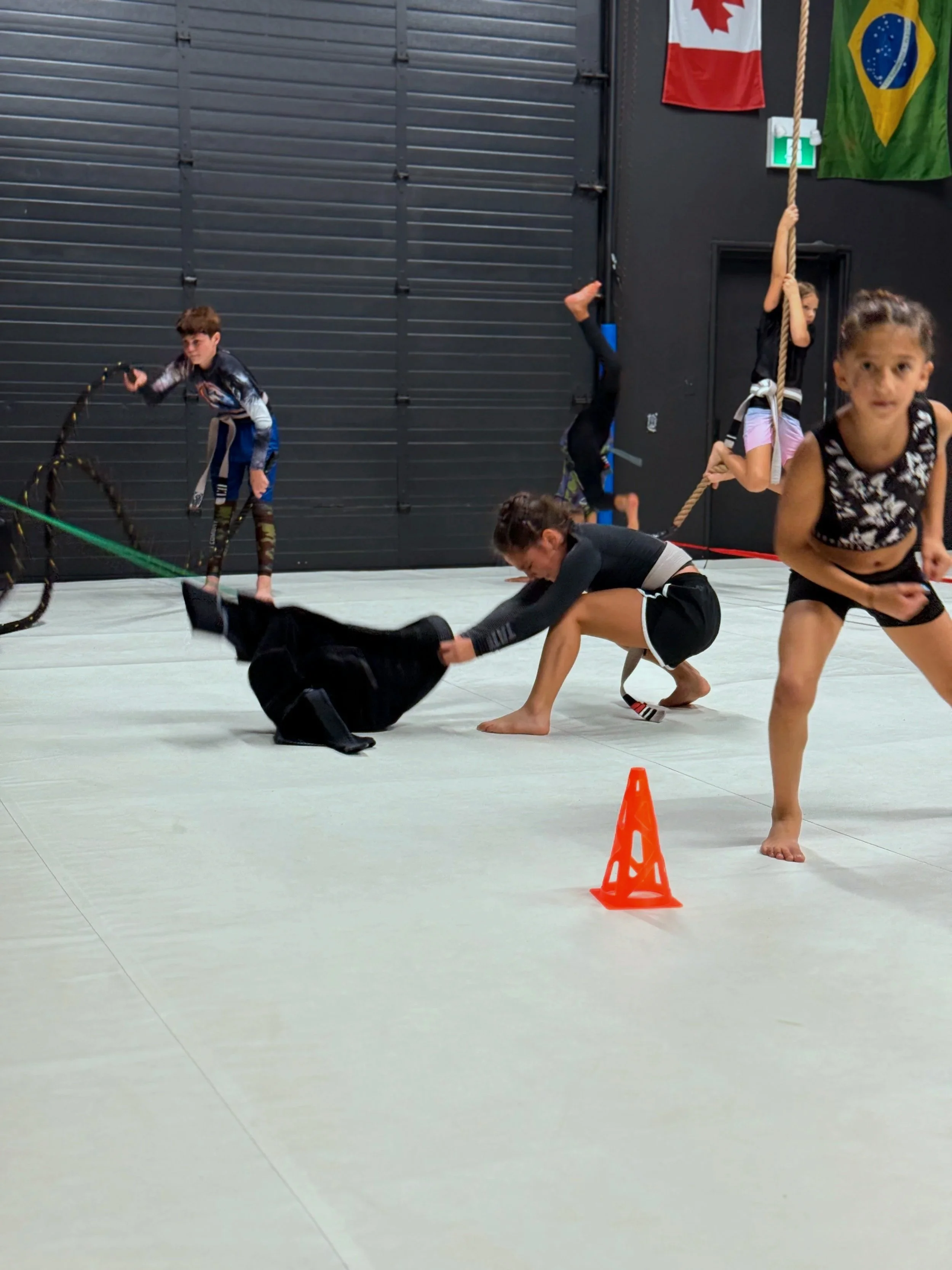 Services 4 — MSJ Combat - Brazilian Jiu-Jitsu Academy | BJJ Classes for ...