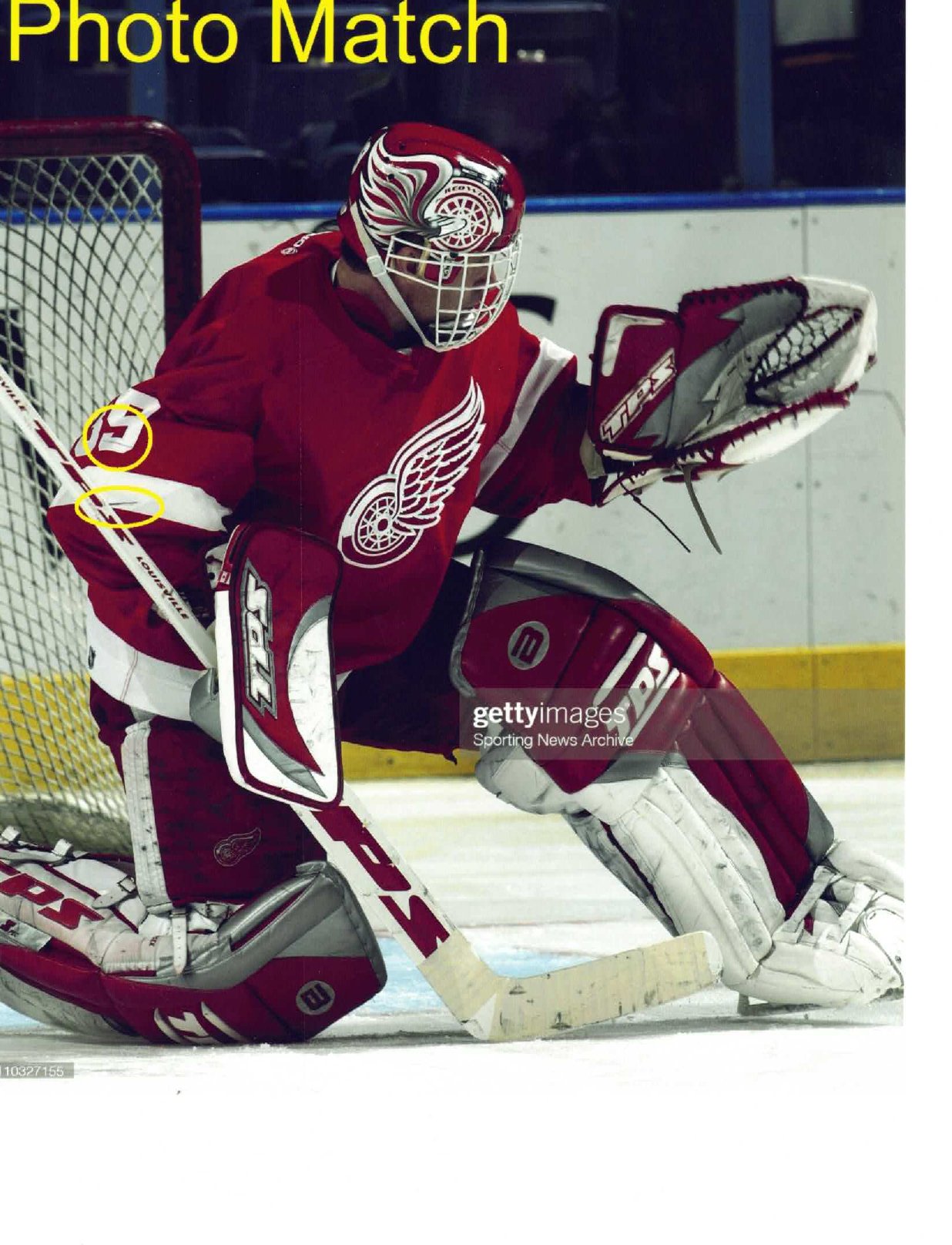 Dominik Hasek