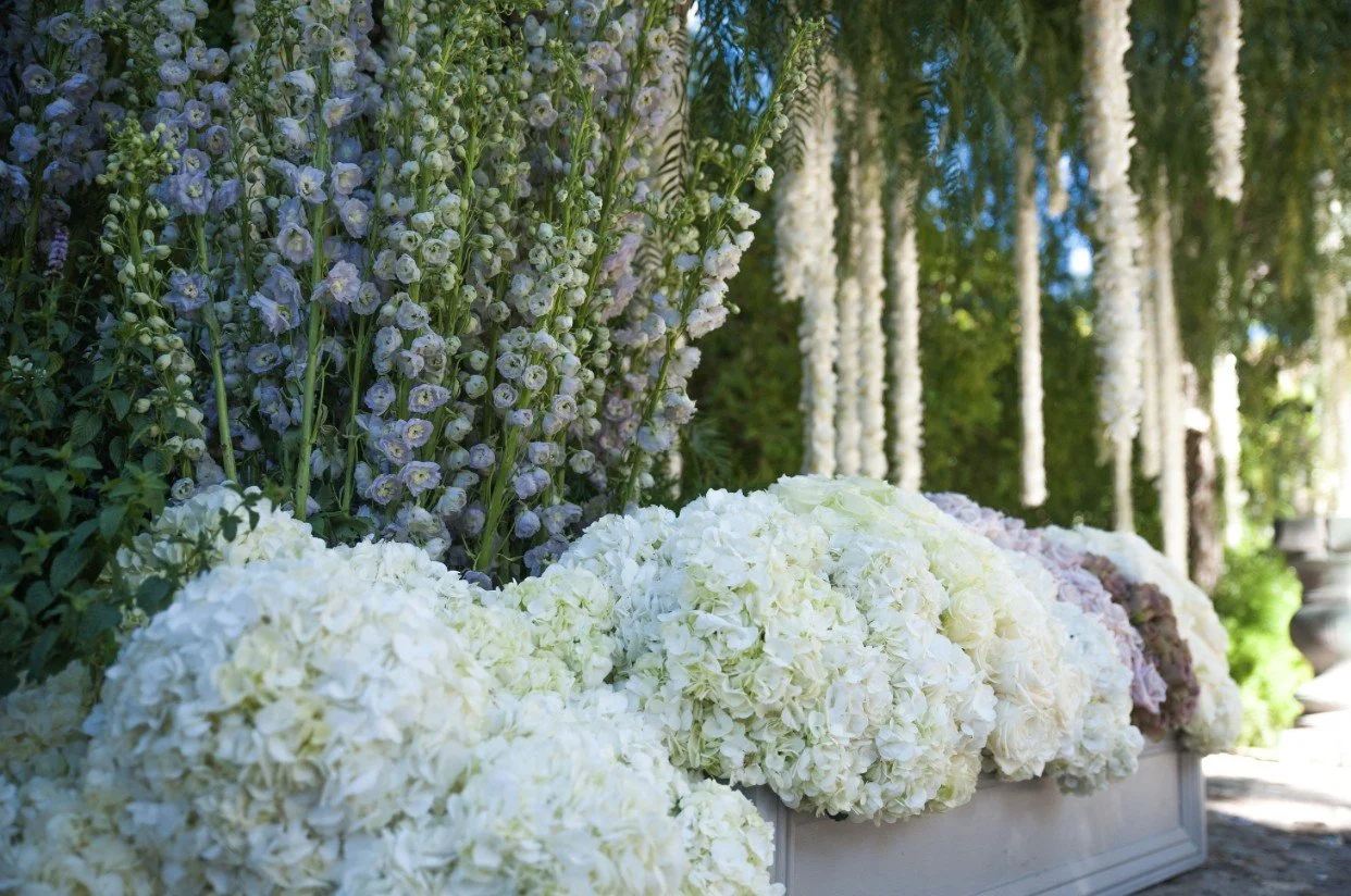 IMG_9757jpeg (1).jpeg