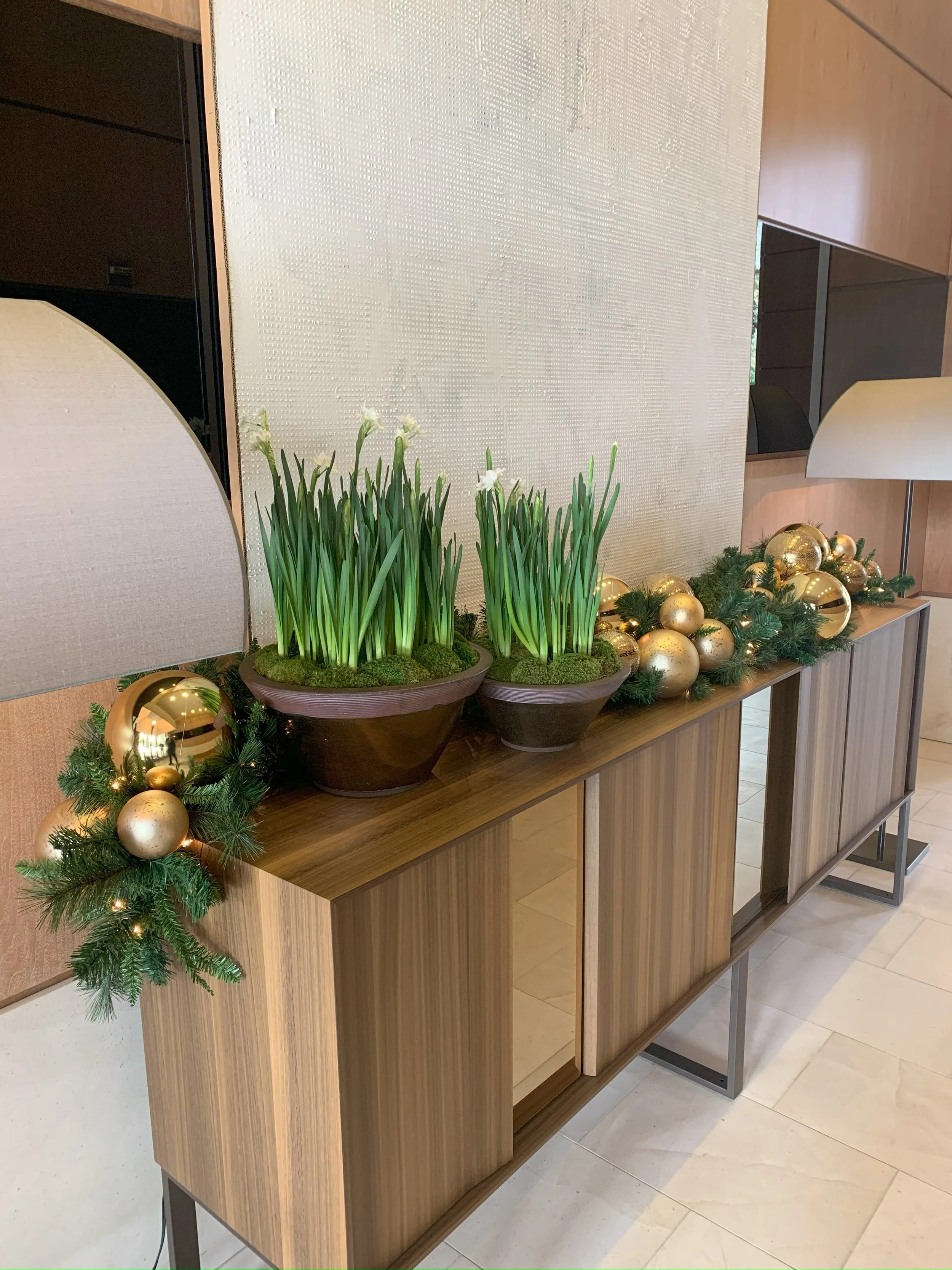 IMG_5666jpeg (1).jpeg