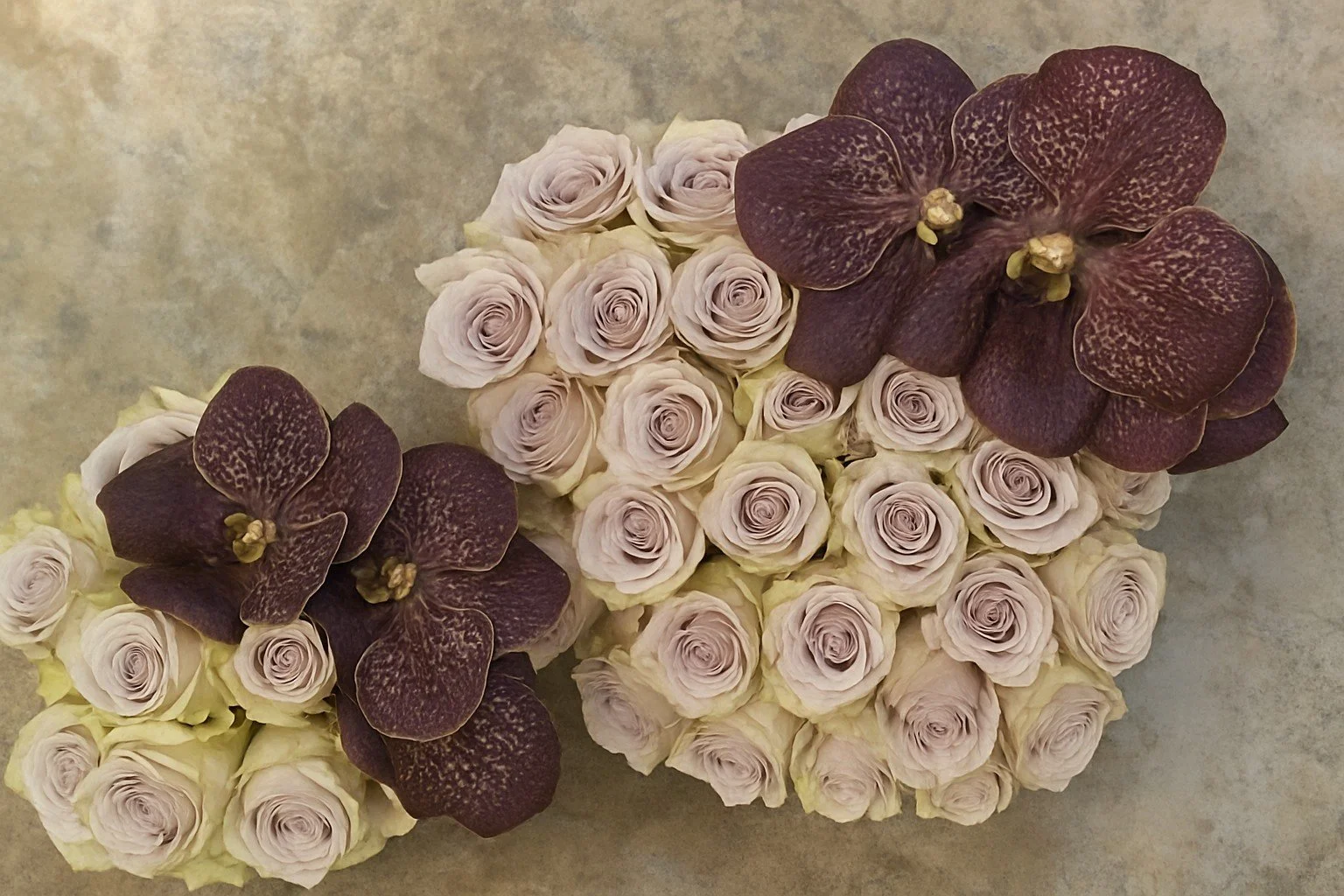 ChatGPT Image Oct 15, 2025, 03_57_55 PM.jpeg