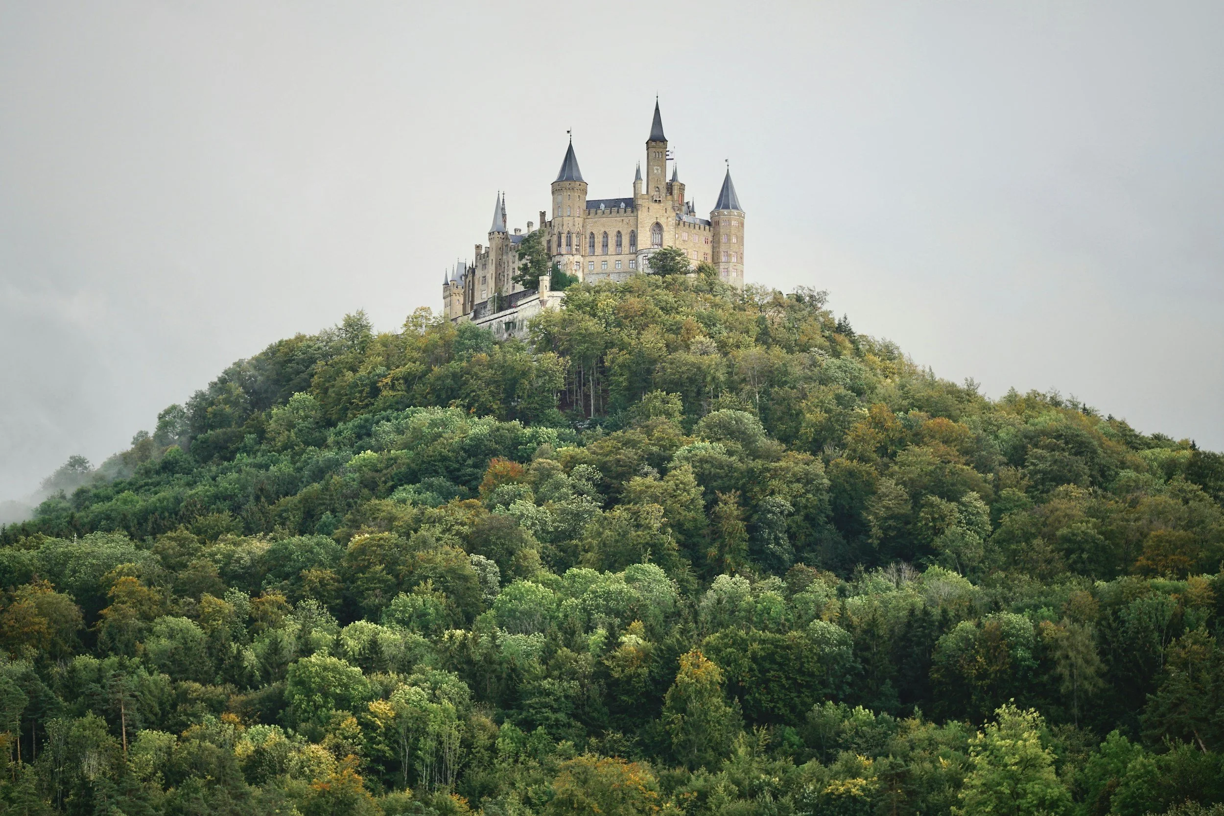 Castle atop a hill covered in green trees