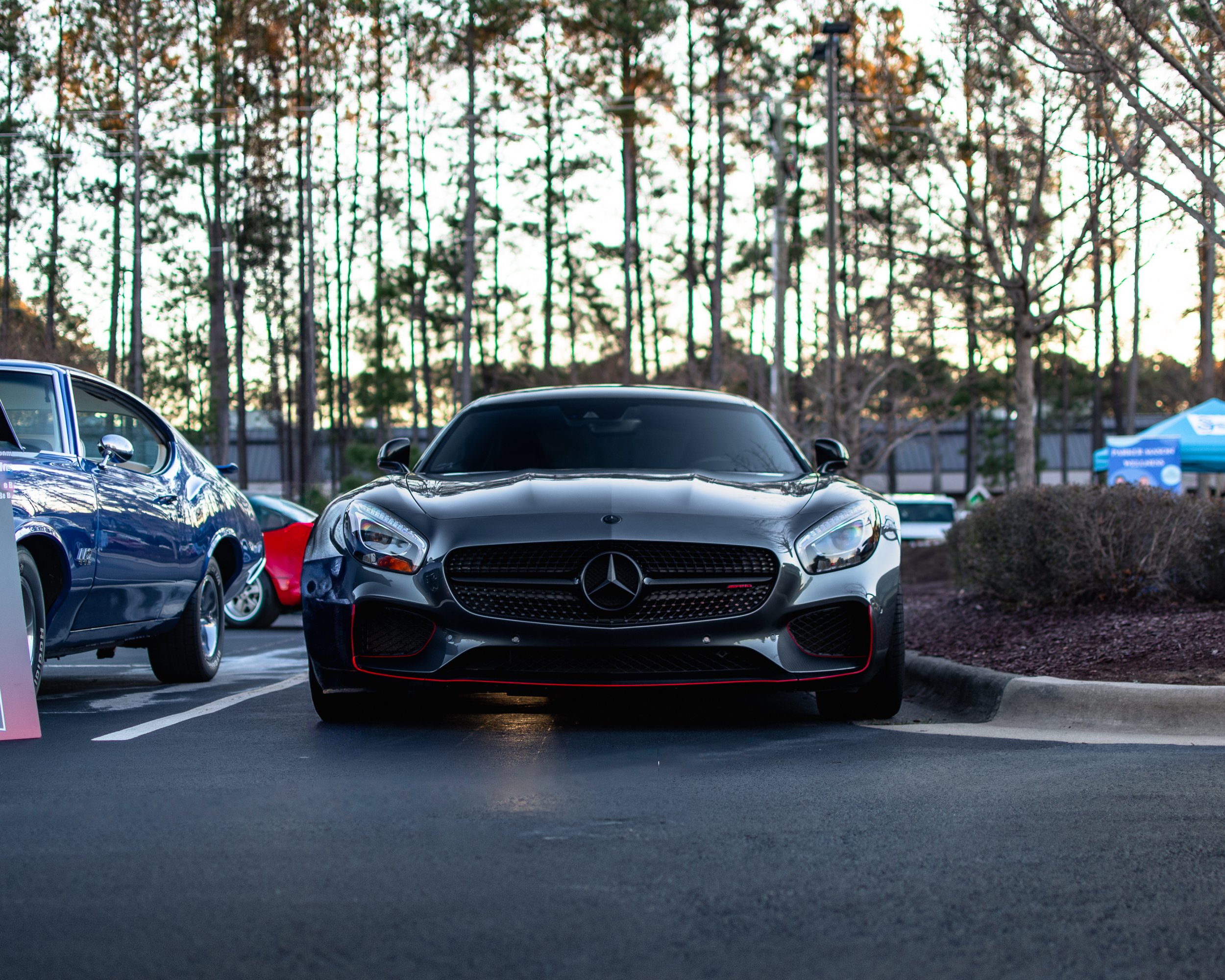 DSC_0055-Enhanced-NR.jpg