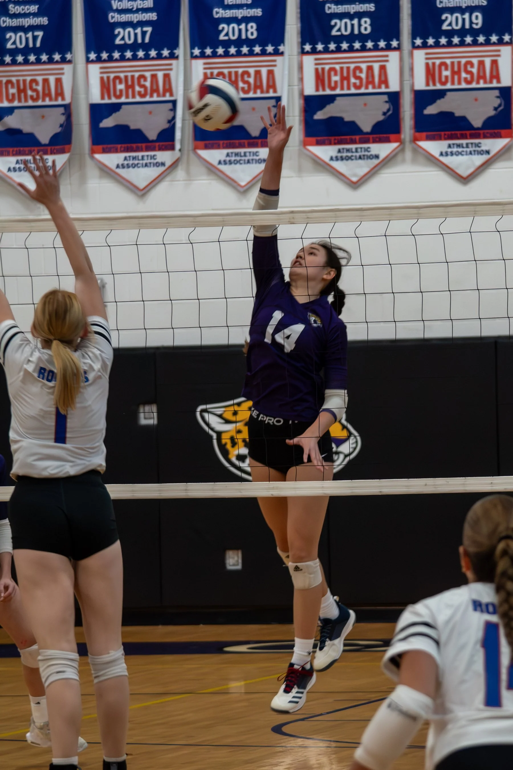 DSC_0078-Enhanced-NR (2).jpg