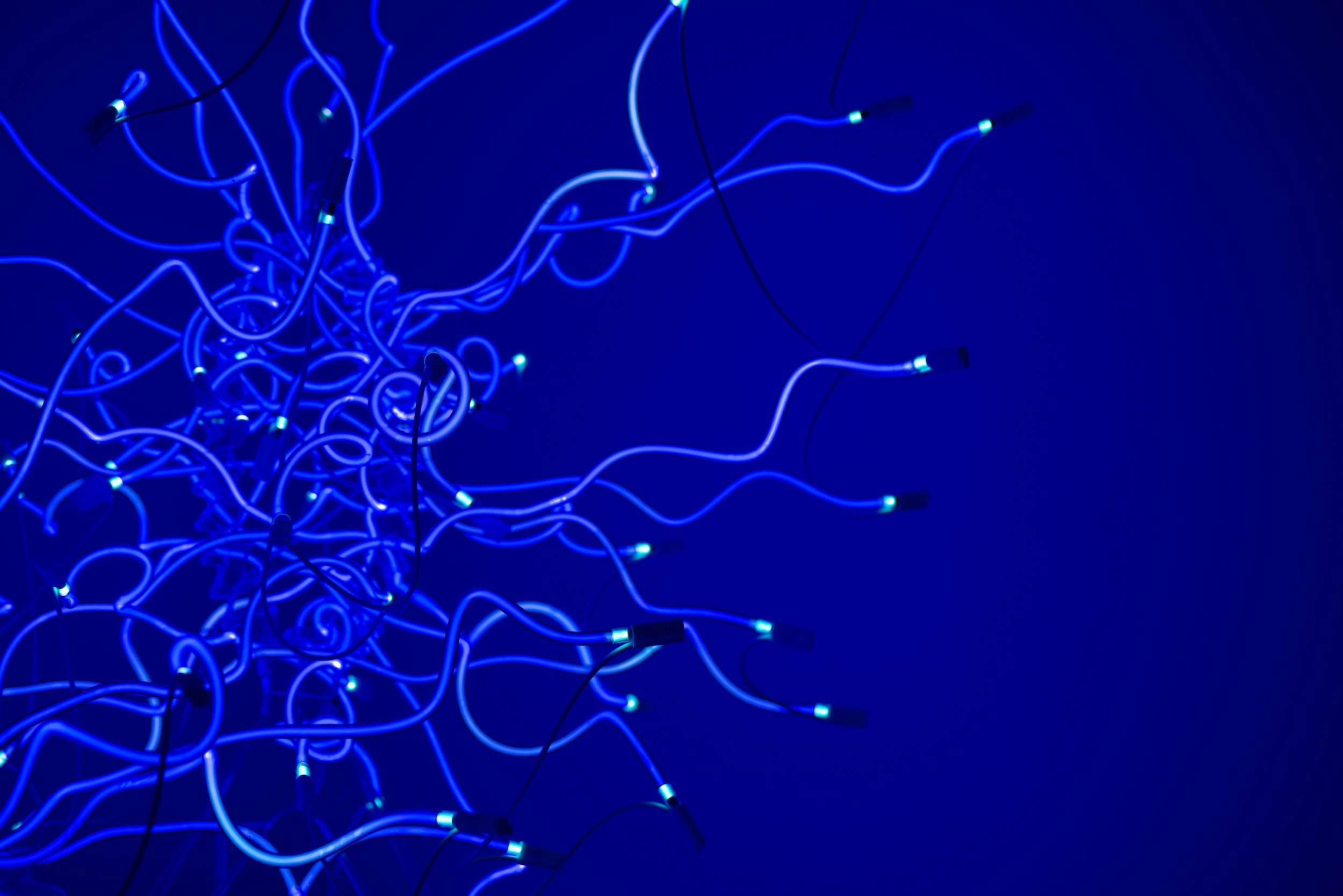 Making NDE Support Groups Neurodivergent-Affirming: A Reflective Call to Conscious Inclusion