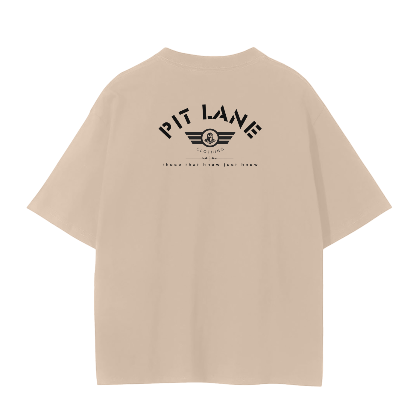 squarespace-upload-temp-2025-03-22-6b2a8a54-6e97-4b4c-9591-3843f24928501386295779162394027.png