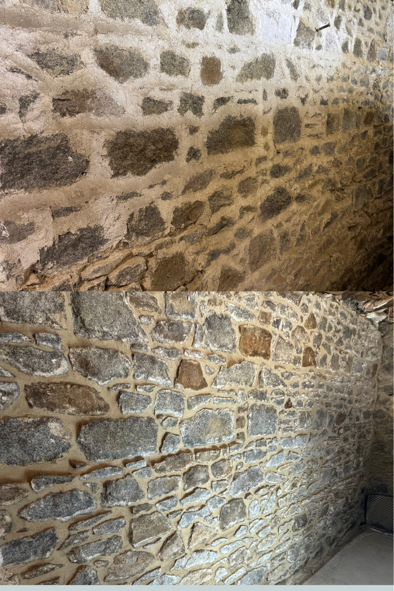 Untitled design (1).PNG