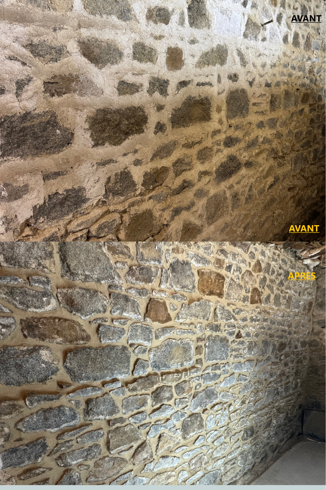 Untitled design (1).PNG