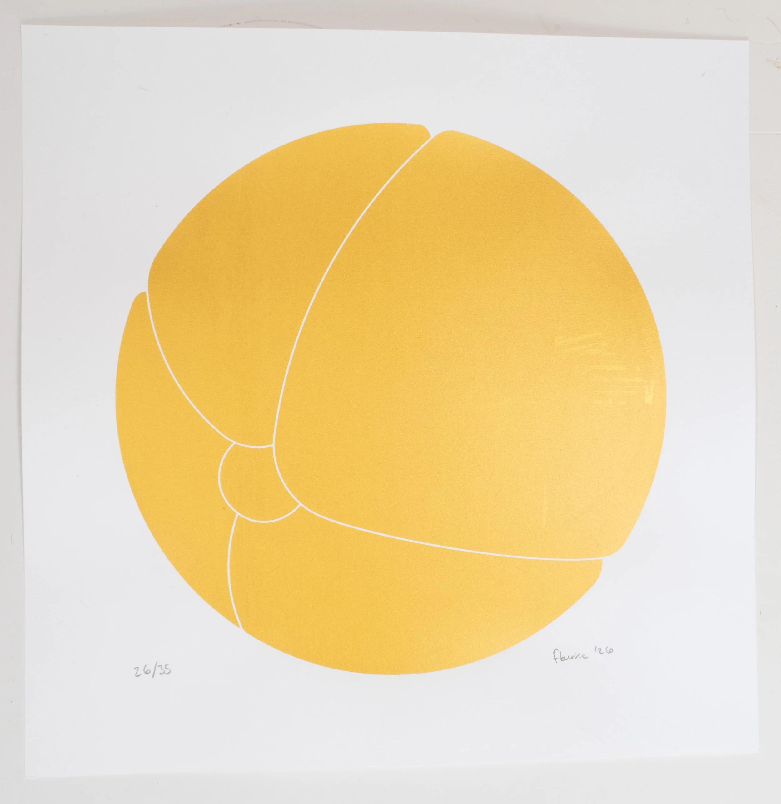 Bloom (OGo) website photo full.jpg