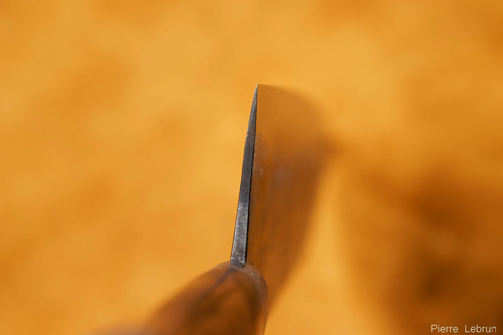 083A5122_DxO.jpg
