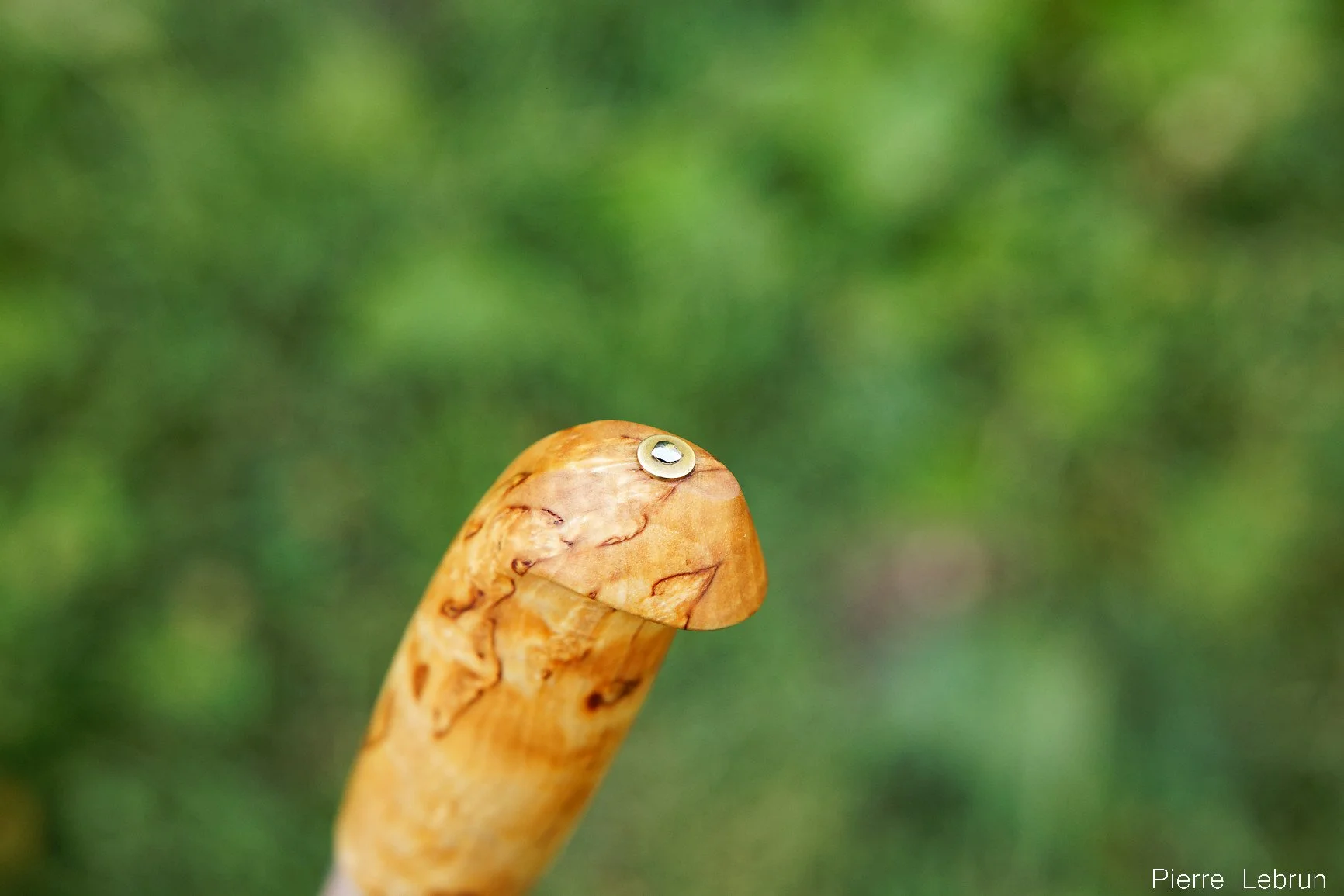 083A4835_DxO.jpg