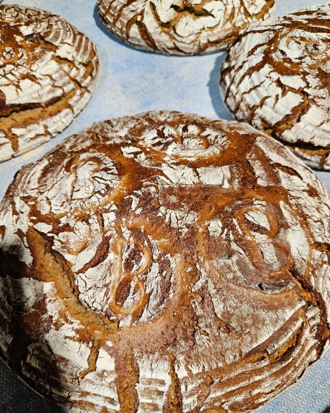 100% BR&Auml;UER Steinofenbrot: 
100% Roggen und Weizen  aus dem M&uuml;hlviertel
100% selbst ger&uuml;hrter Natursauerteig - ohne Hefezusatz 
️Weil wir unser Handwerk lieben&hearts;️ 

#B&auml;ckereiBr&auml;uer #m&uuml;hlviertlernaturb&auml;cker #de