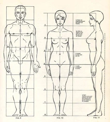 échelle proportion dessin corps