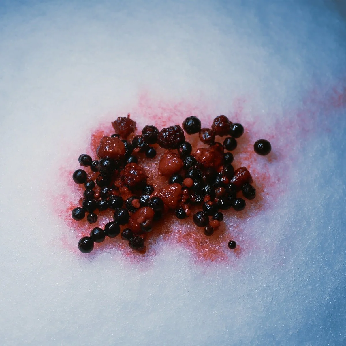 Night Swimming - Poison Berry