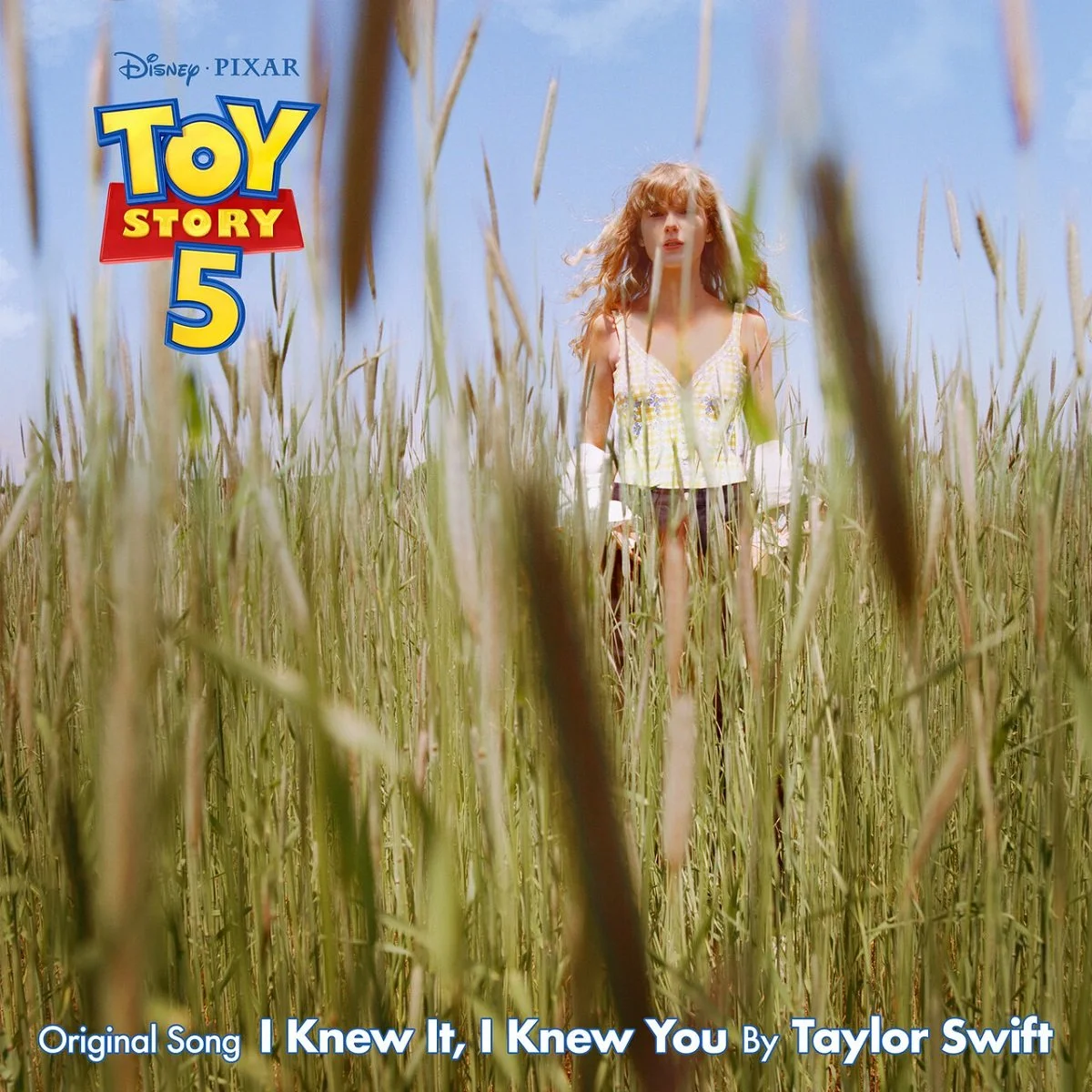Taylor Swift - I Knew It, I Knew You