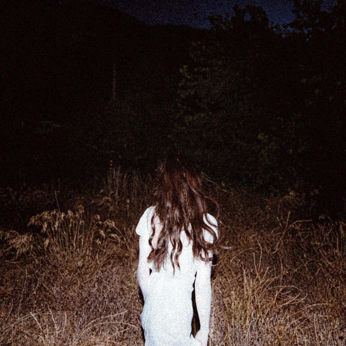 Beatrix - We Swallowed The Sky
