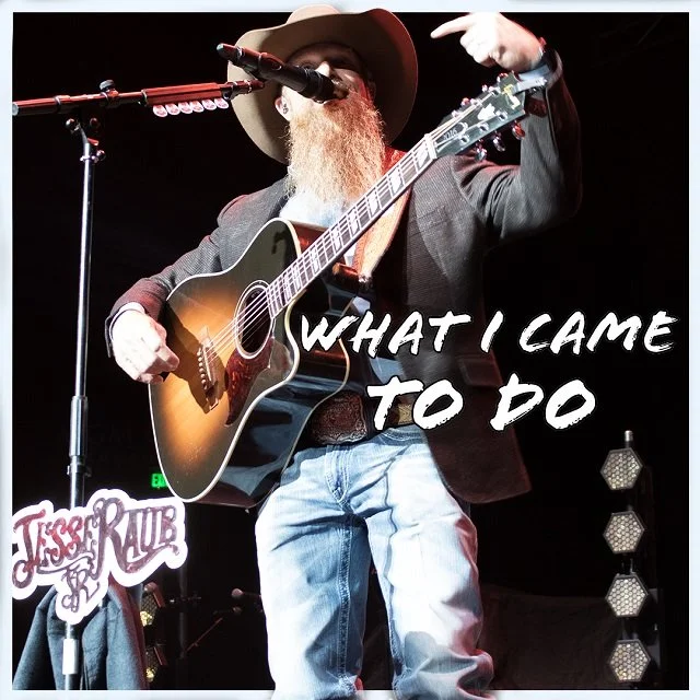 Jesse Raub Jr. - What I Came To Do