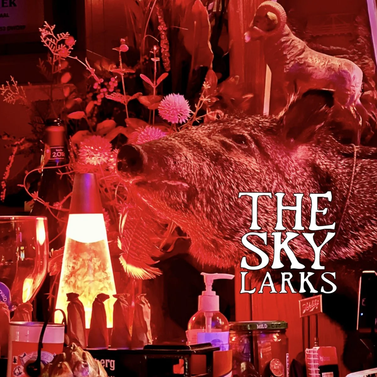 The Skylarks - Last Grass