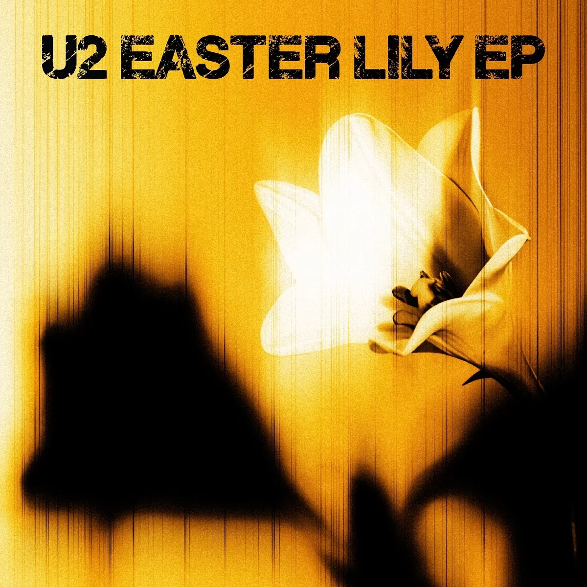 U2 - Easter Lily