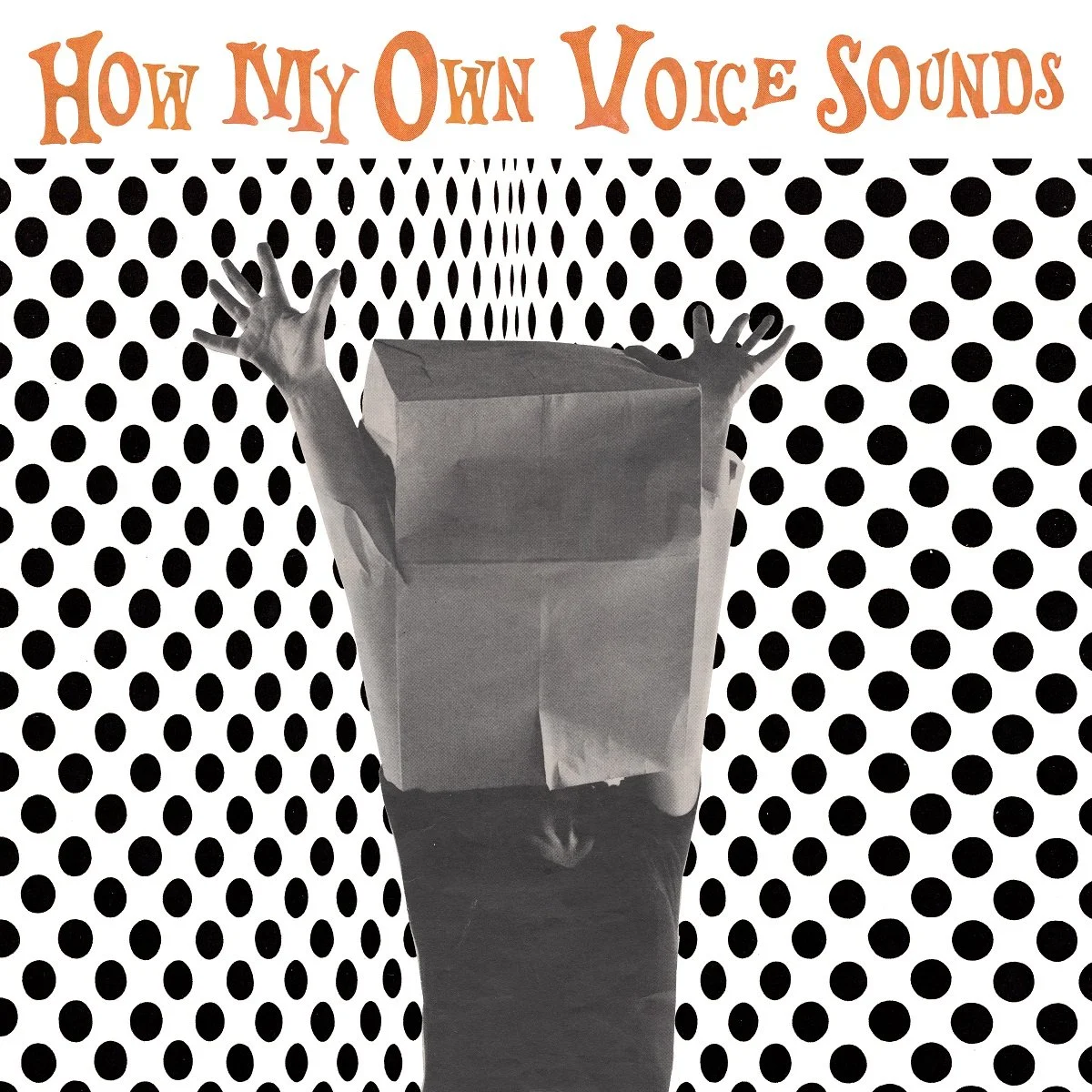 Sub*T - How My Own Voice Sounds