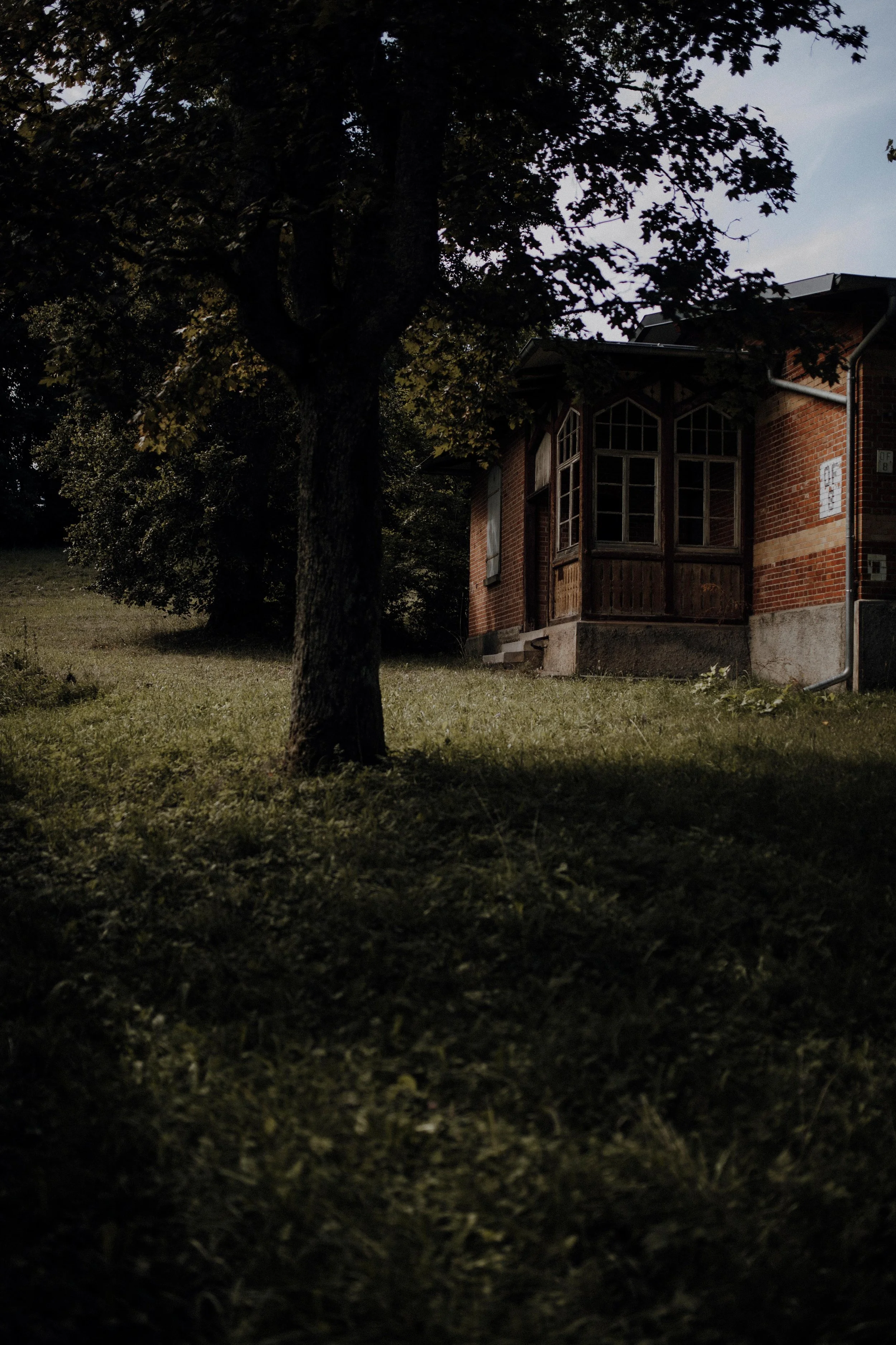 Sina & Jaron-365.jpg