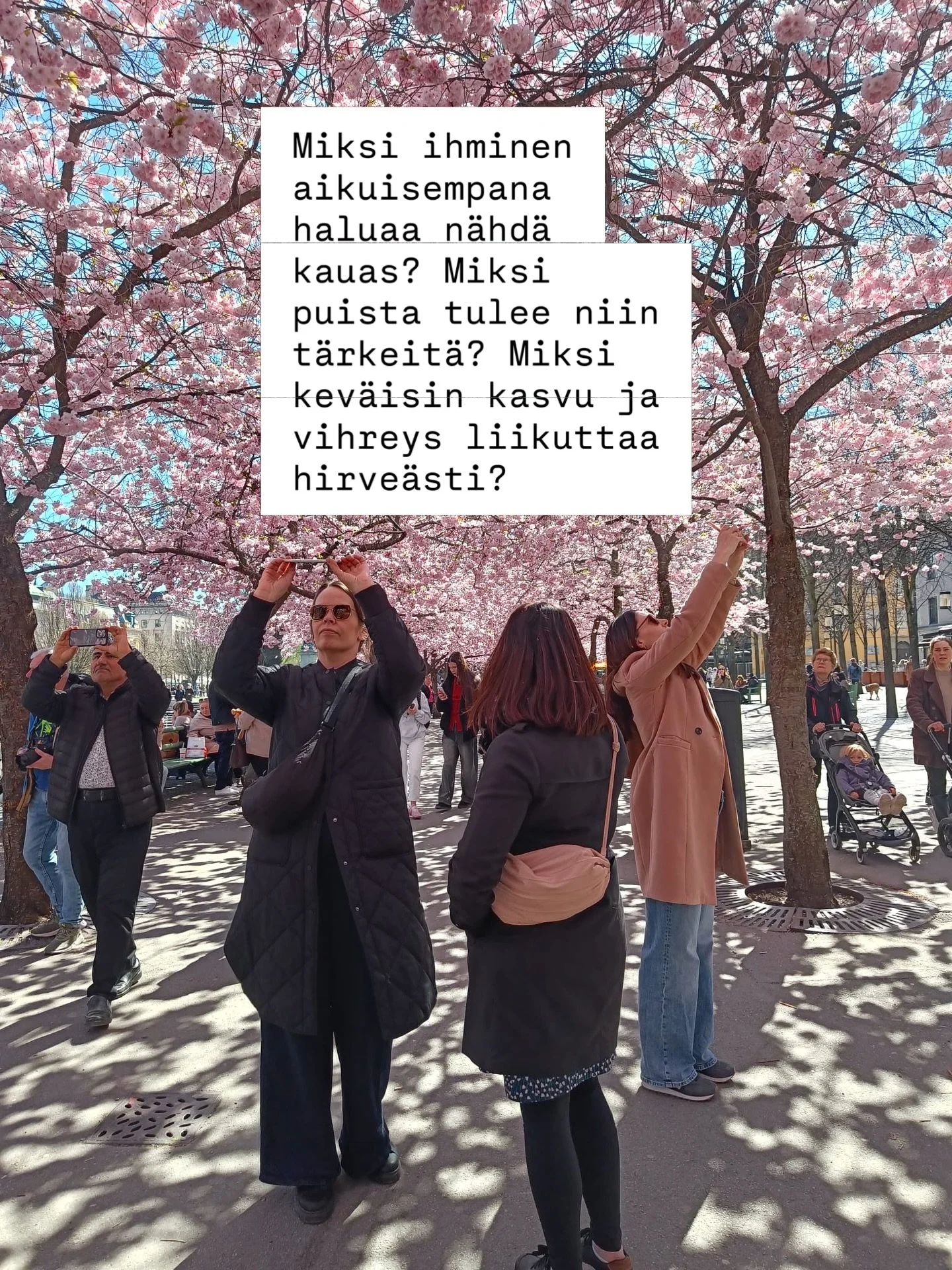 Mit&auml; mietin viime aikoina 🌸🌸🌸 

#kev&auml;t #kuunteleminen #haaveet