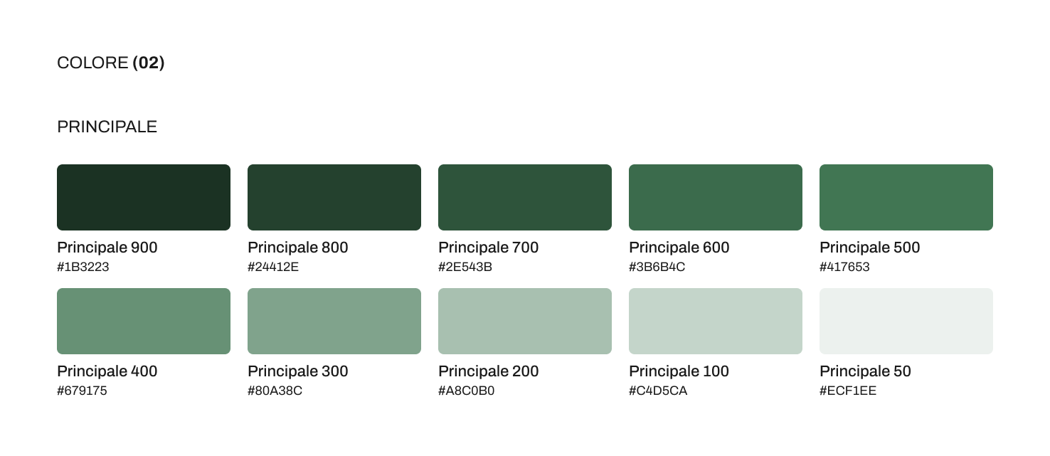 Colore 1 - Ecodream.png