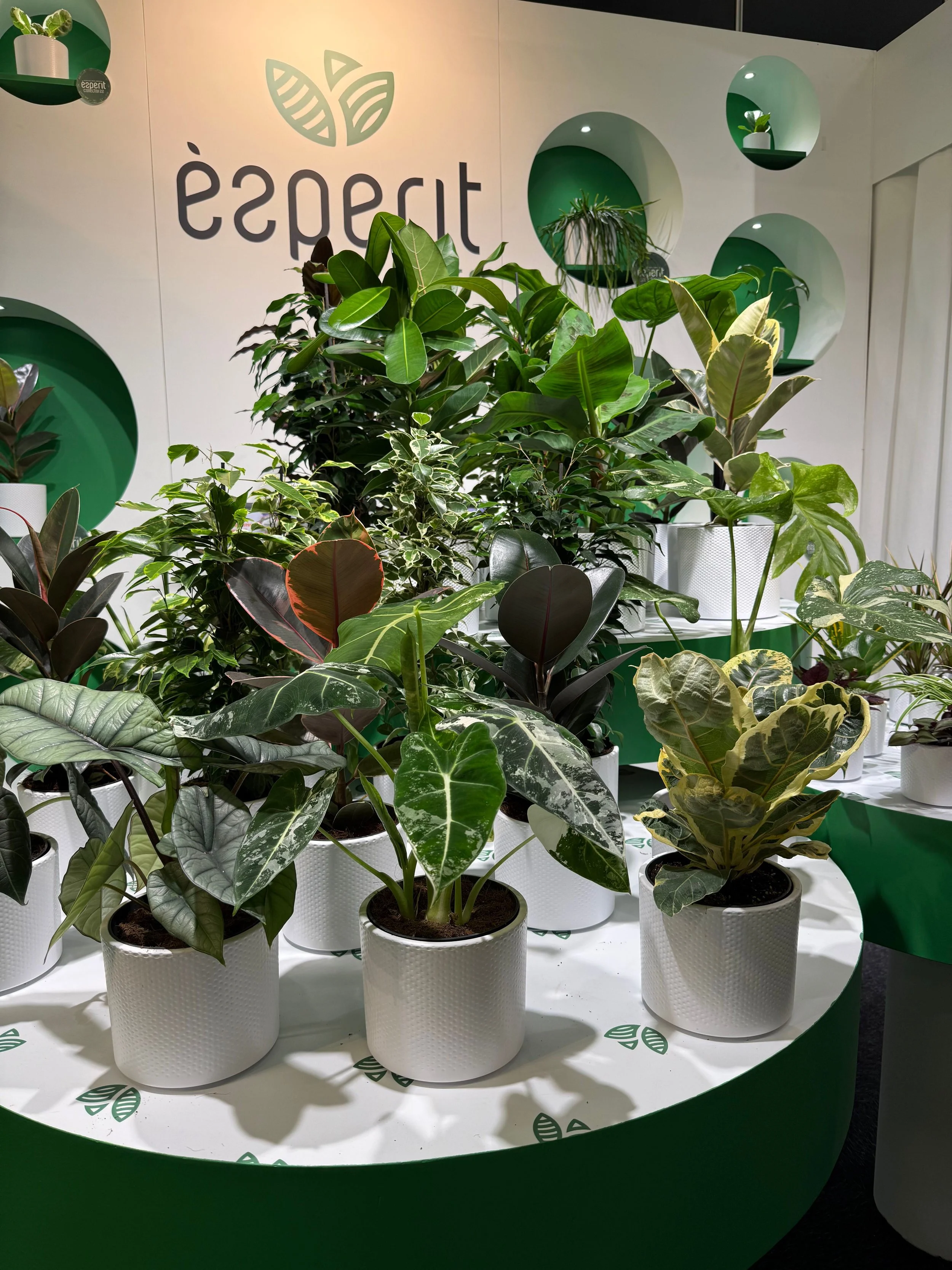 Exploring Innovation at the Royal Flora Holland Trade Fair Aalsmeer 2025