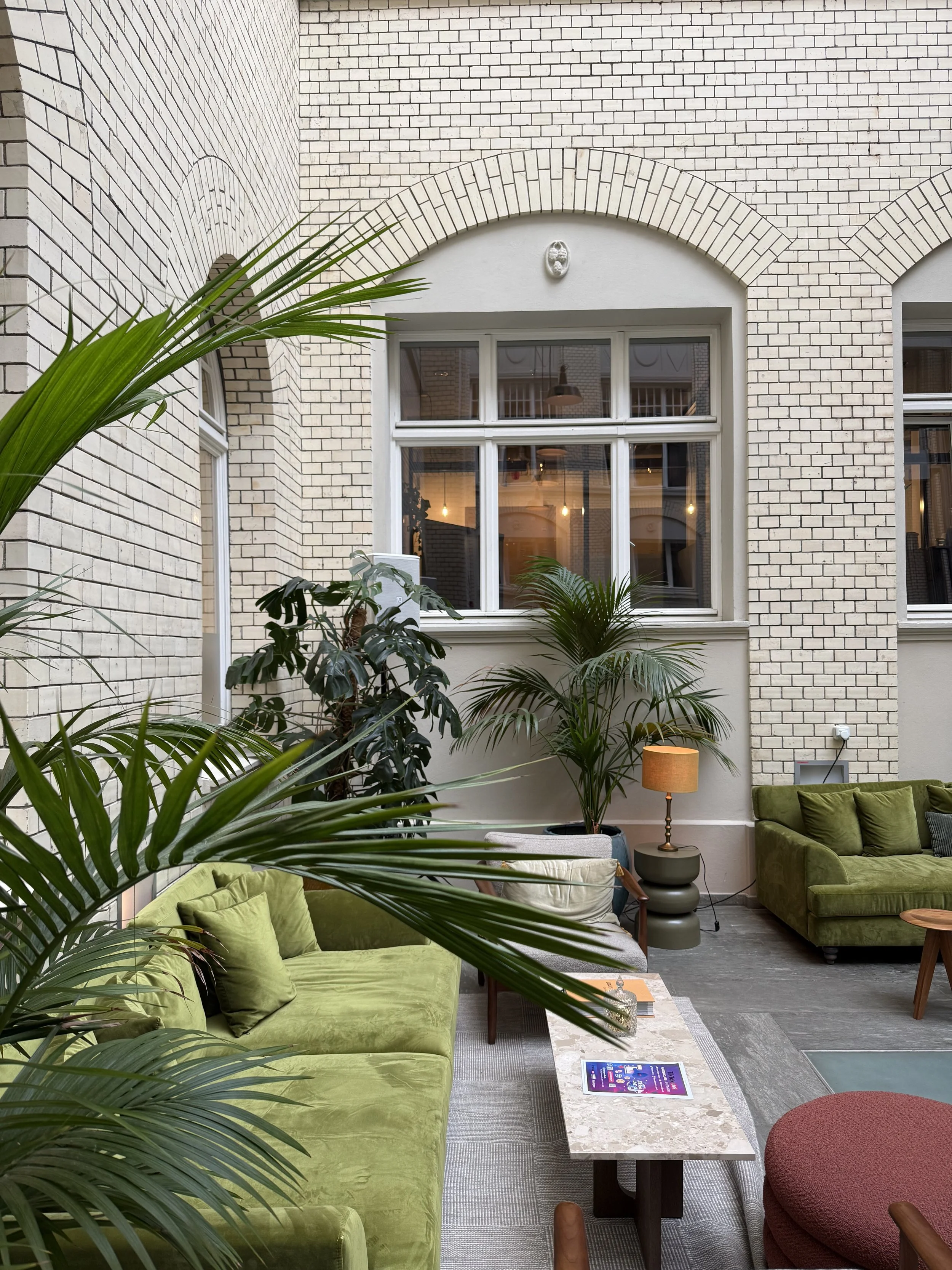Office Plant Rental vs. Buying: Which is Right for Your Berlin Workspace?