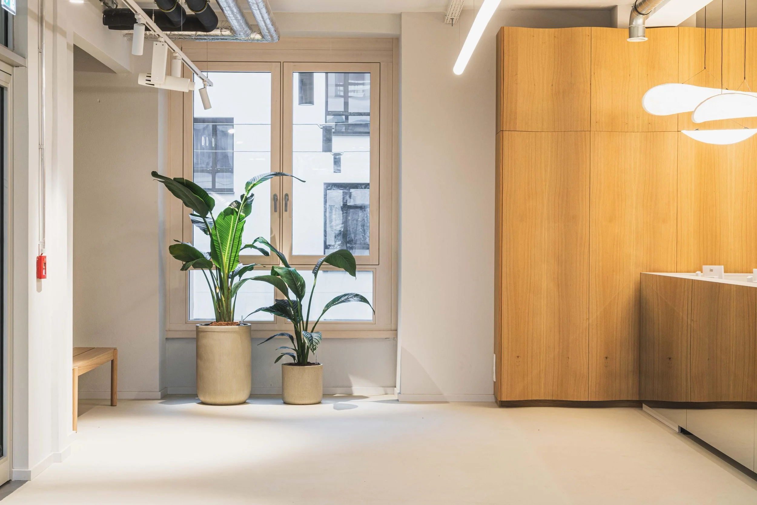 Modernes Interieur mit Holzwandpaneelen, weißen Wänden, großem Fenster und zwei grünen Topfpflanzen in der Nähe des Fensters.